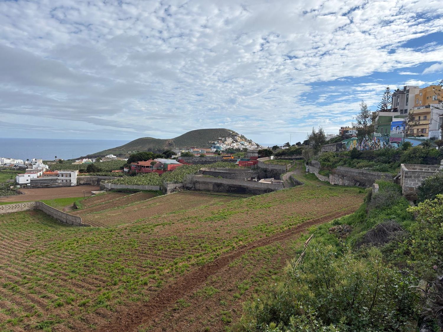 Casas o chalets-Venta-Arucas-2417458-Foto-32