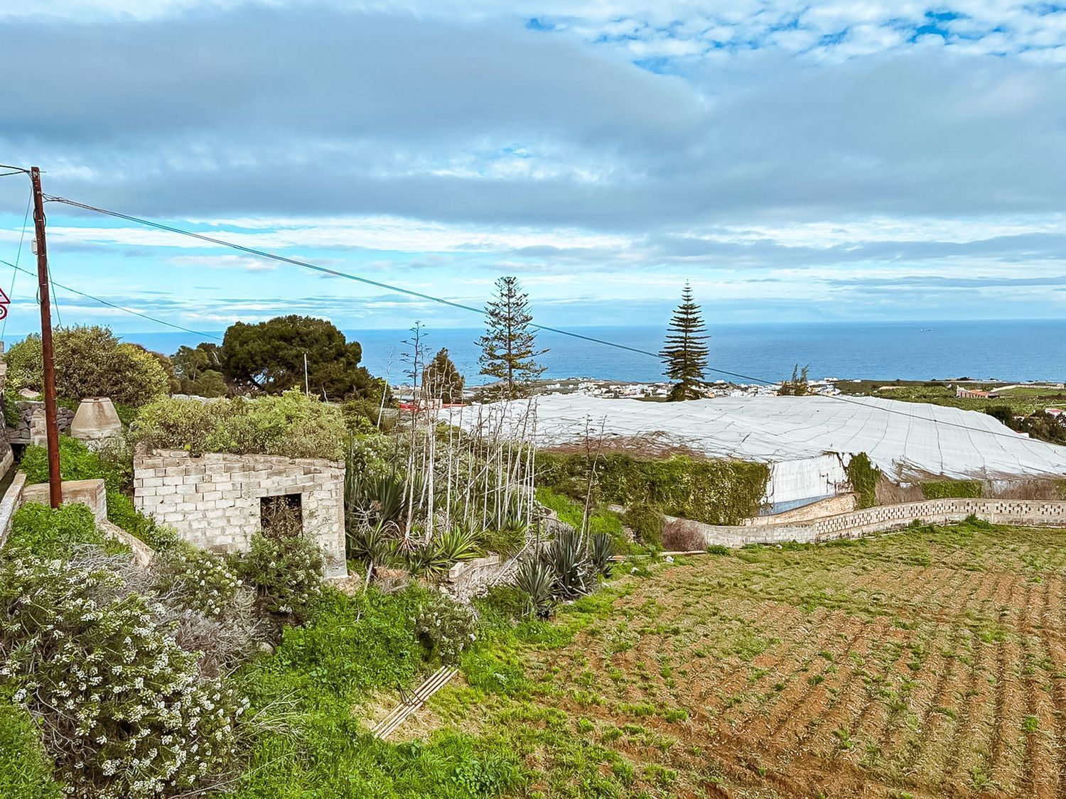 Casas o chalets-Venta-Arucas-2417458-Foto-38