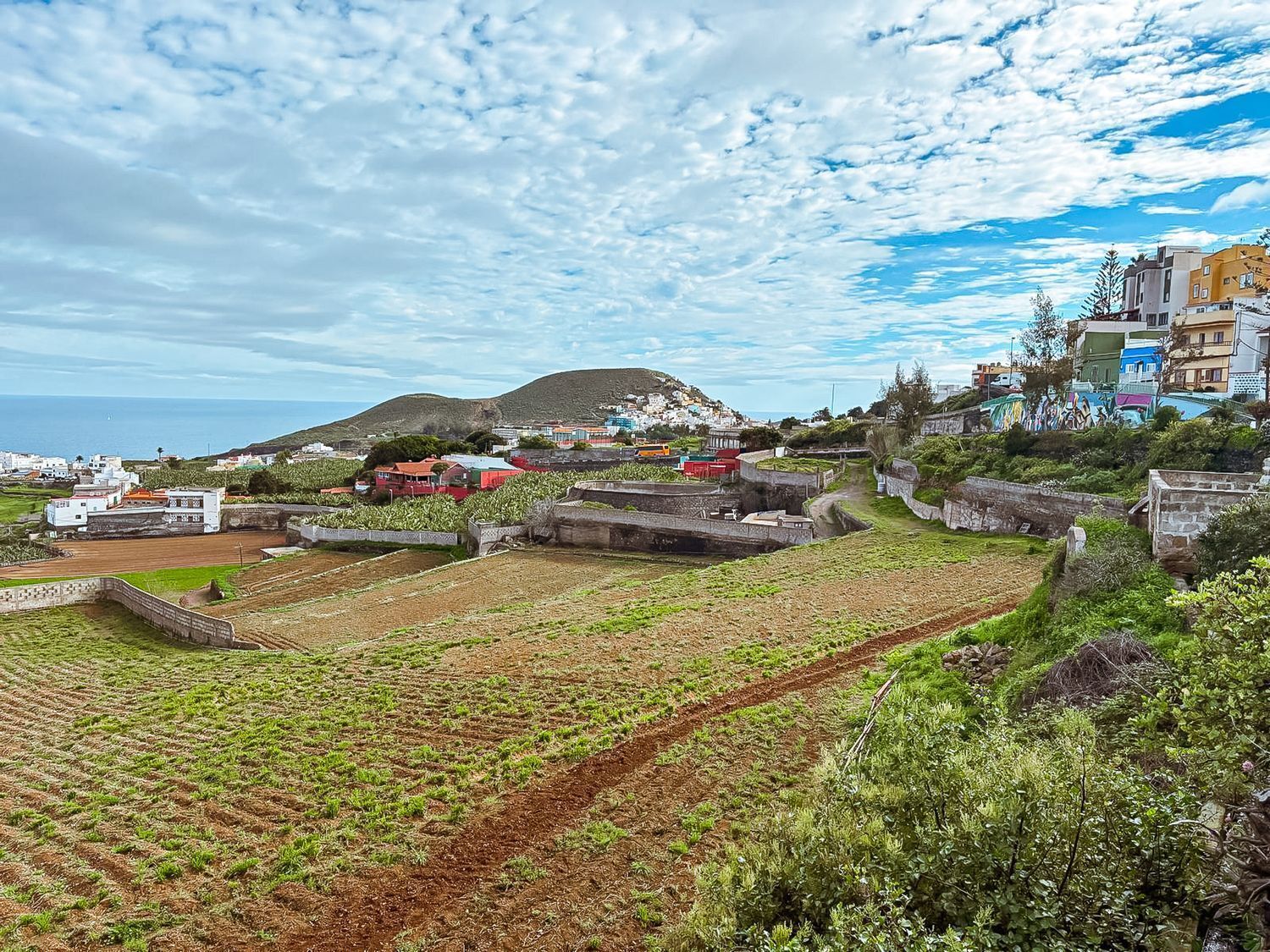 Casas o chalets-Venta-Arucas-2417458-Foto-39