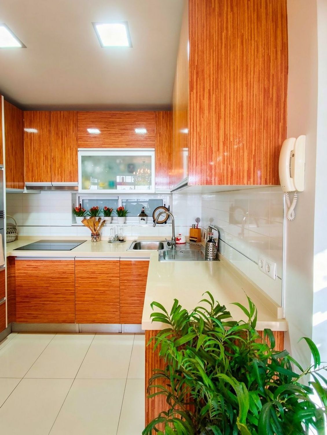Pisos-Venta-Las Palmas de Gran Canaria-2417446-Foto-9