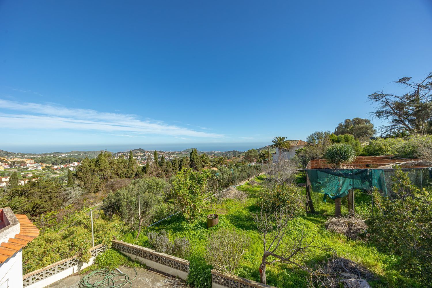 Casas o chalets-Venta-Santa BrÃ­gida-2417443-Foto-12