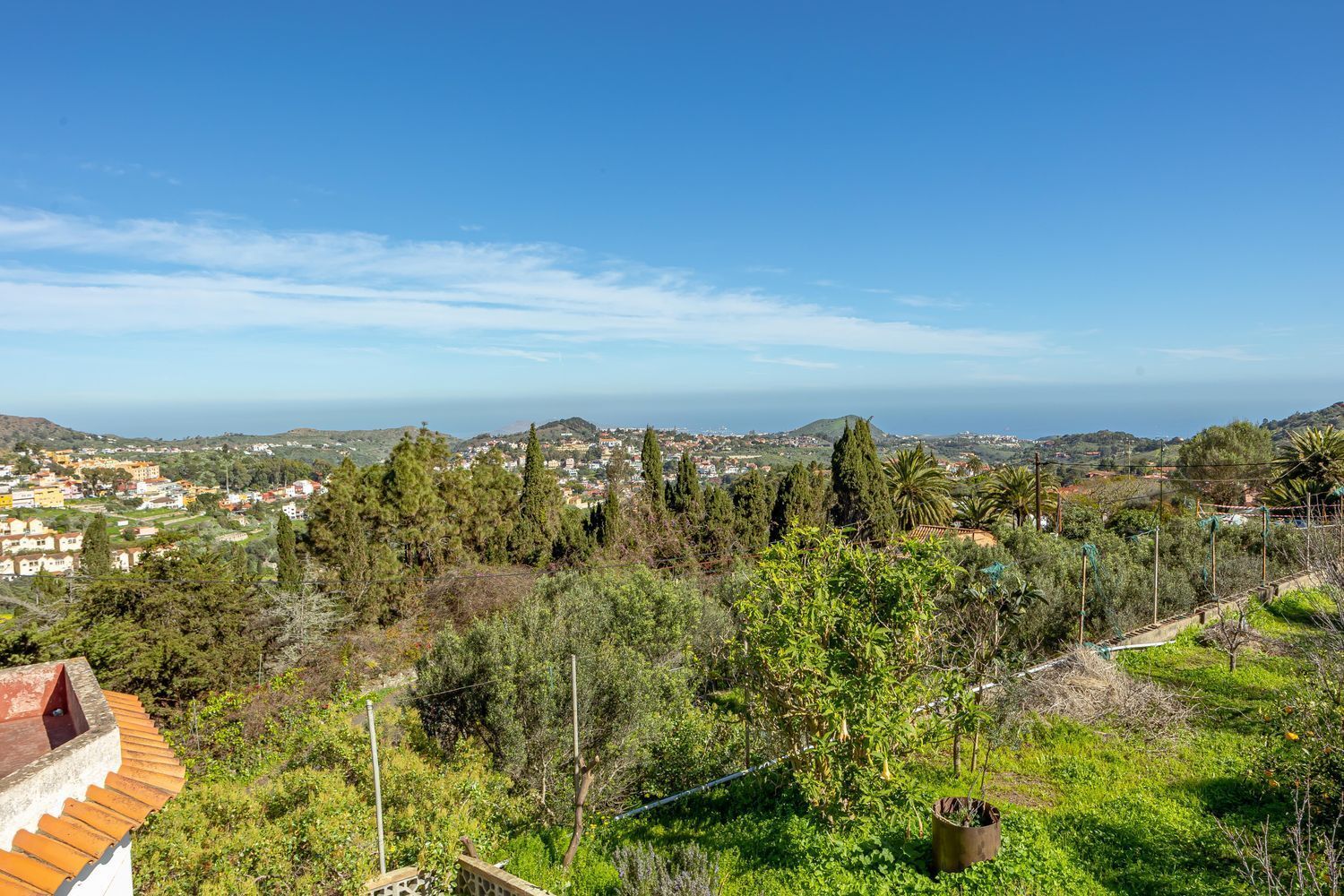Casas o chalets-Venta-Santa BrÃ­gida-2417443-Foto-14