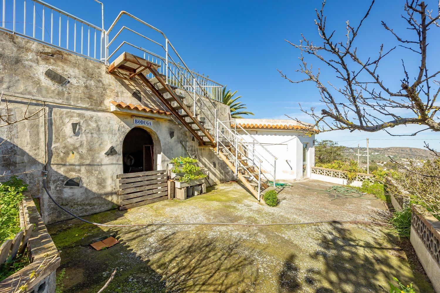 Casas o chalets-Venta-Santa BrÃ­gida-2417443-Foto-58