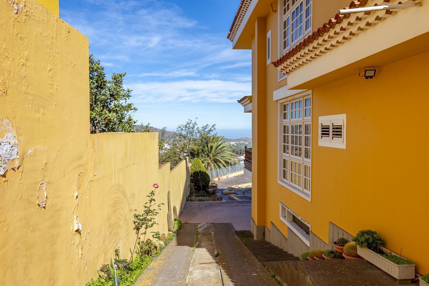Casas o chalets-Venta-Santa BrÃ­gida-2417443-Foto-61