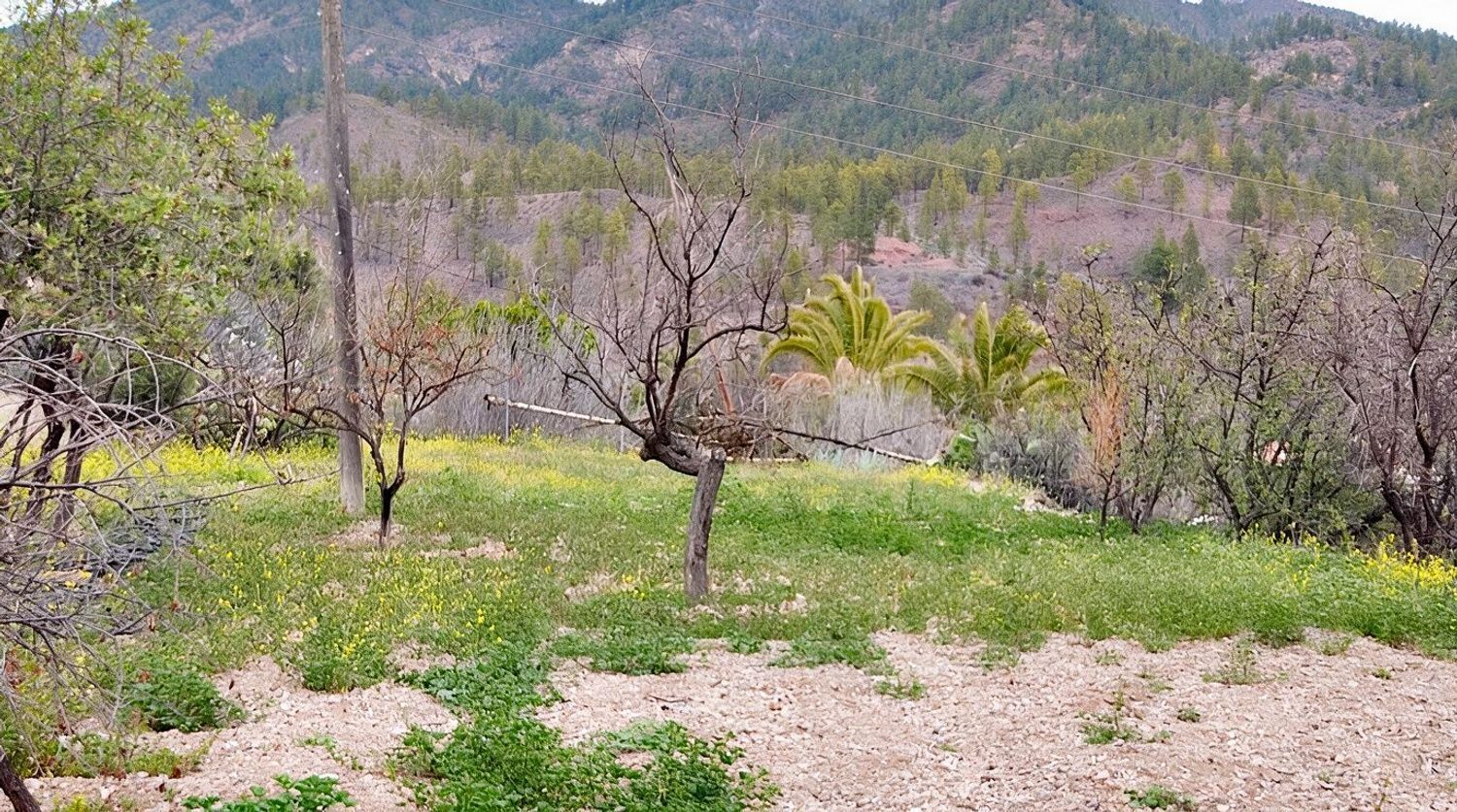 Casas o chalets-Venta-San BartolomÃ© de Tirajana-2417431-Foto-17