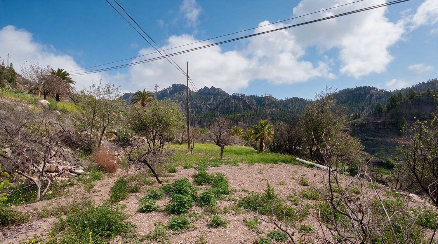 Casas o chalets-Venta-San BartolomÃ© de Tirajana-2417431-Foto-18