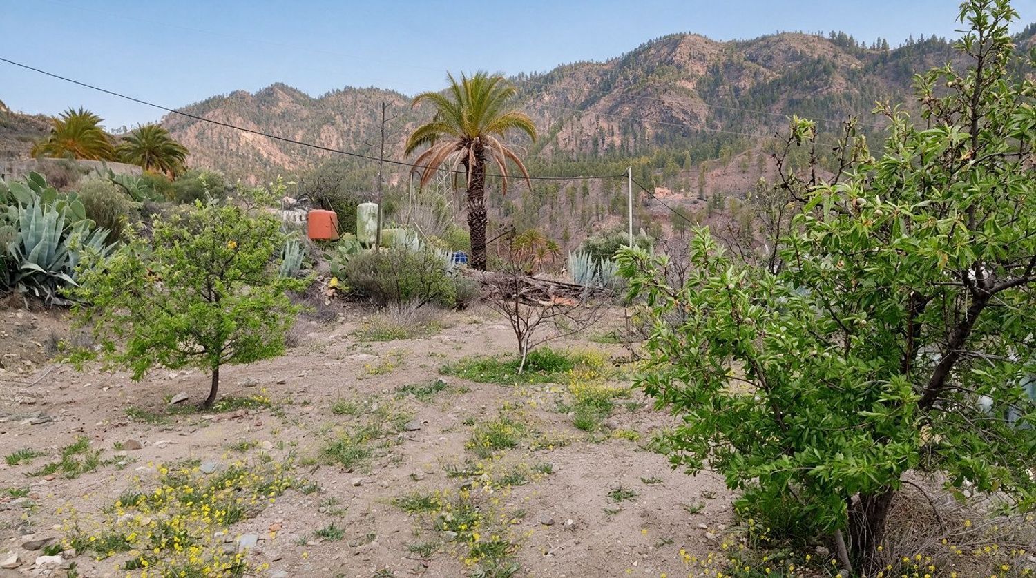 Casas o chalets-Venta-San BartolomÃ© de Tirajana-2417431-Foto-16