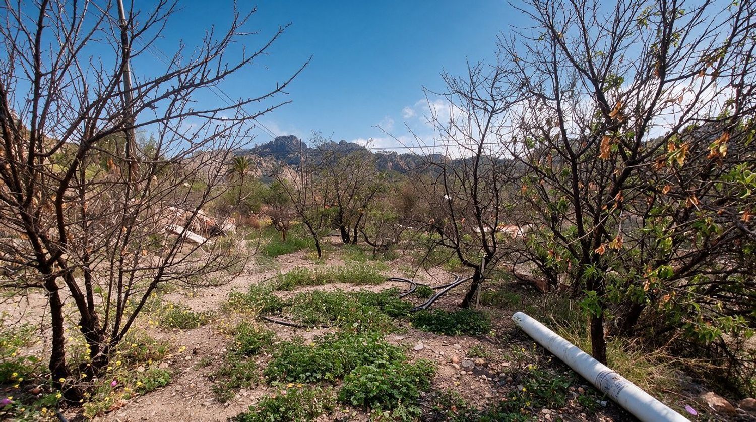 Casas o chalets-Venta-San BartolomÃ© de Tirajana-2417431-Foto-19