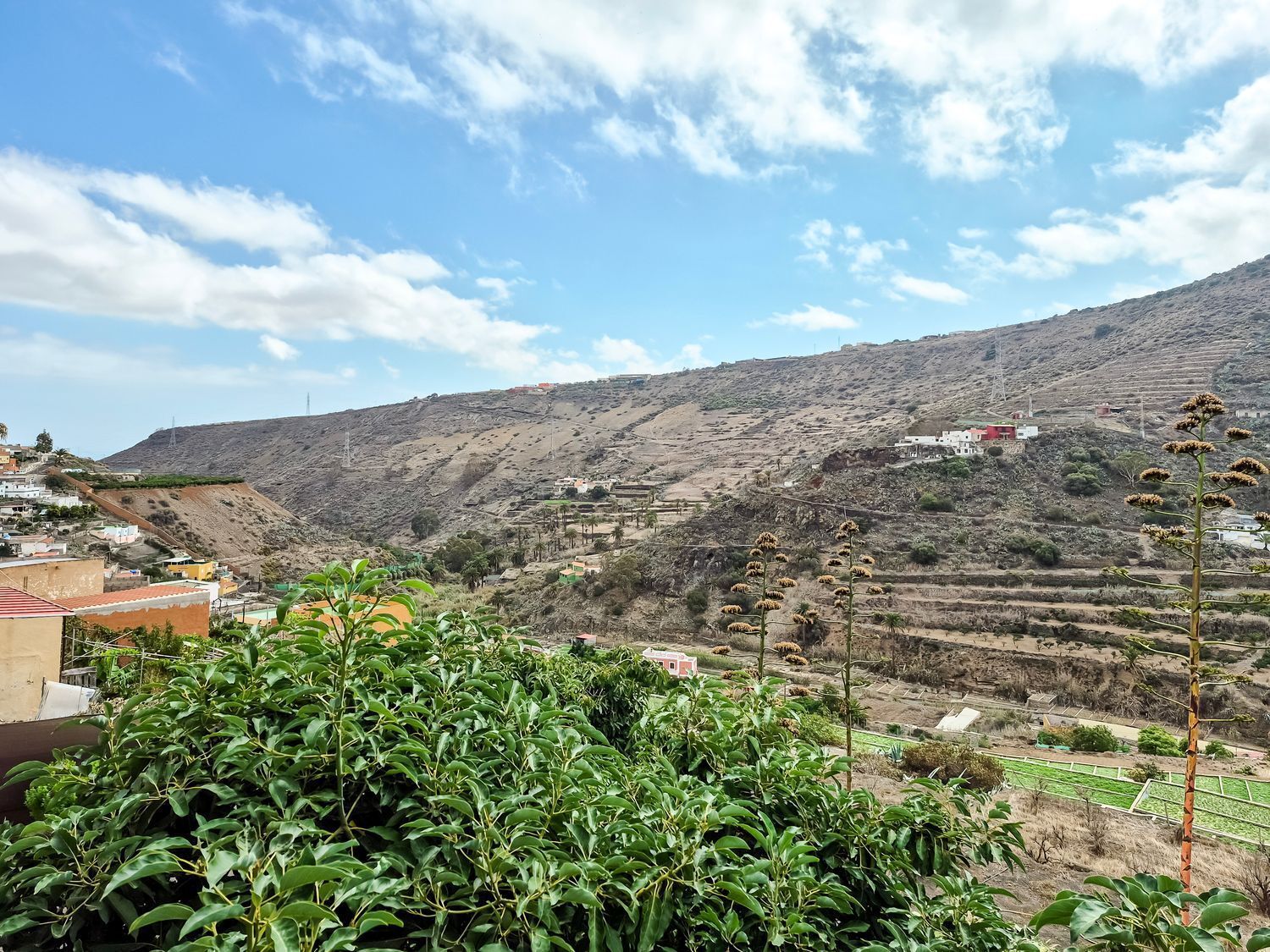 Casas o chalets-Venta-Telde-2417428-Foto-12