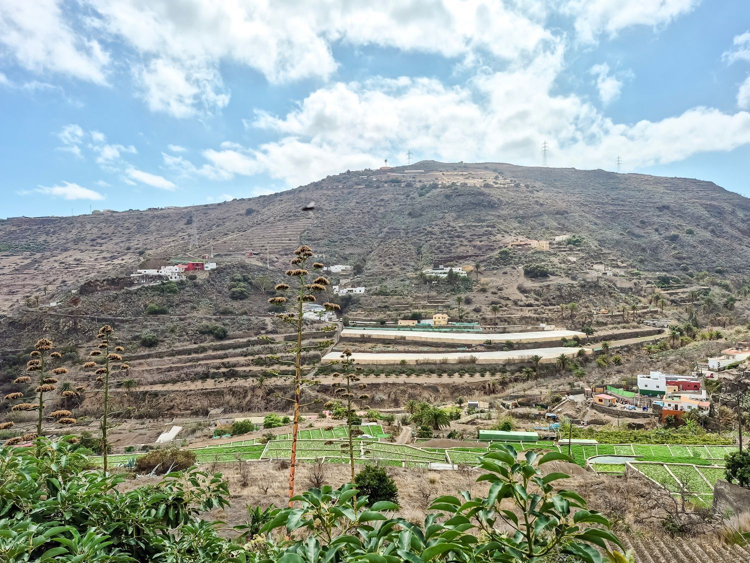 Casas o chalets-Venta-Telde-2417428-Foto-11