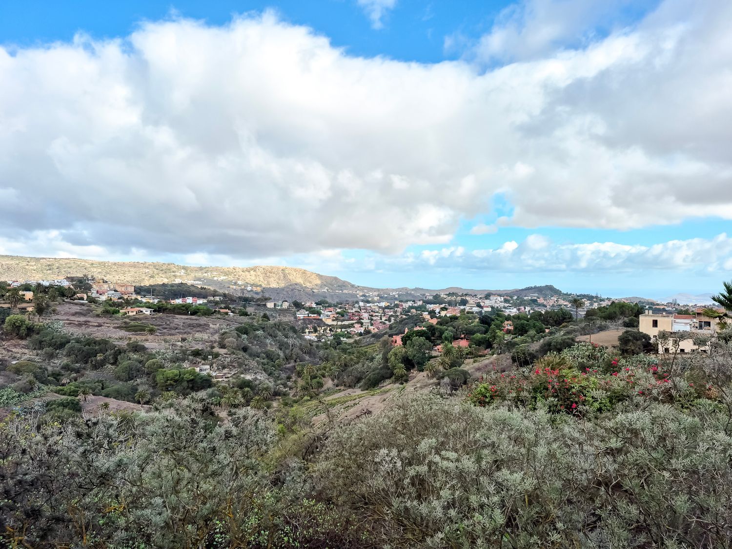 Casas o chalets-Venta-Santa BrÃ­gida-2417398-Foto-3