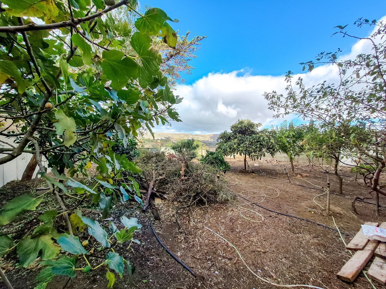 Casas o chalets-Venta-Santa BrÃ­gida-2417398-Foto-42