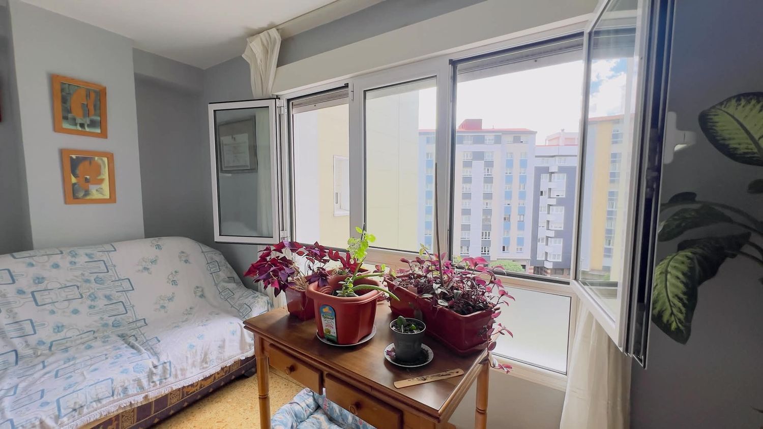 Pisos-Venta-GijÃ³n-2411160-Foto-14