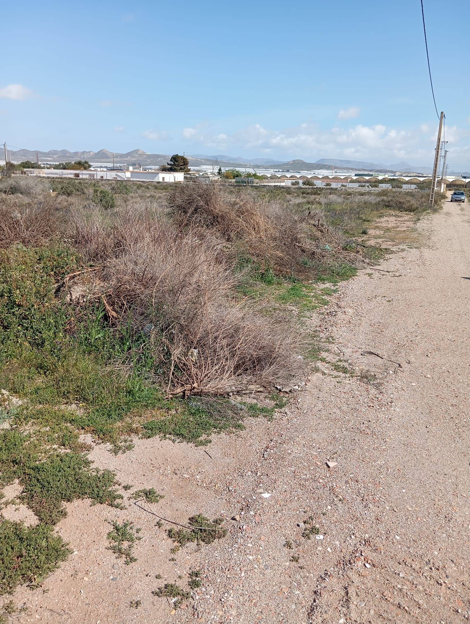 Fincas y solares-Venta-AlmerÃ­a-1744123-Foto-3