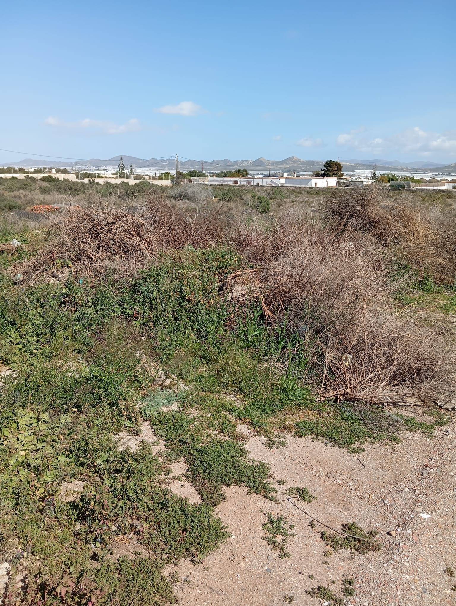 Fincas y solares-Venta-AlmerÃ­a-1744123-Foto-6