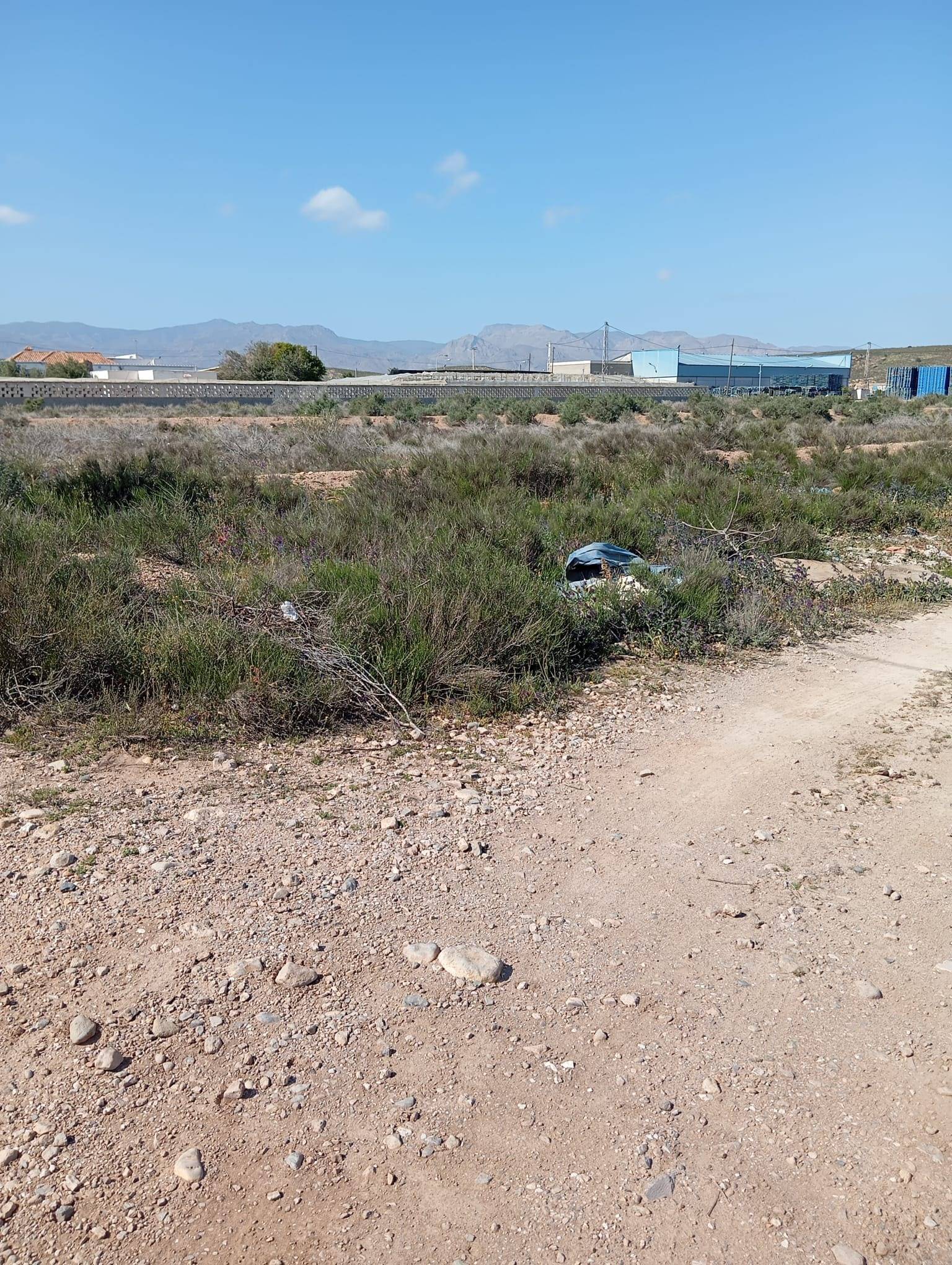 Fincas y solares-Venta-AlmerÃ­a-1744123-Foto-7