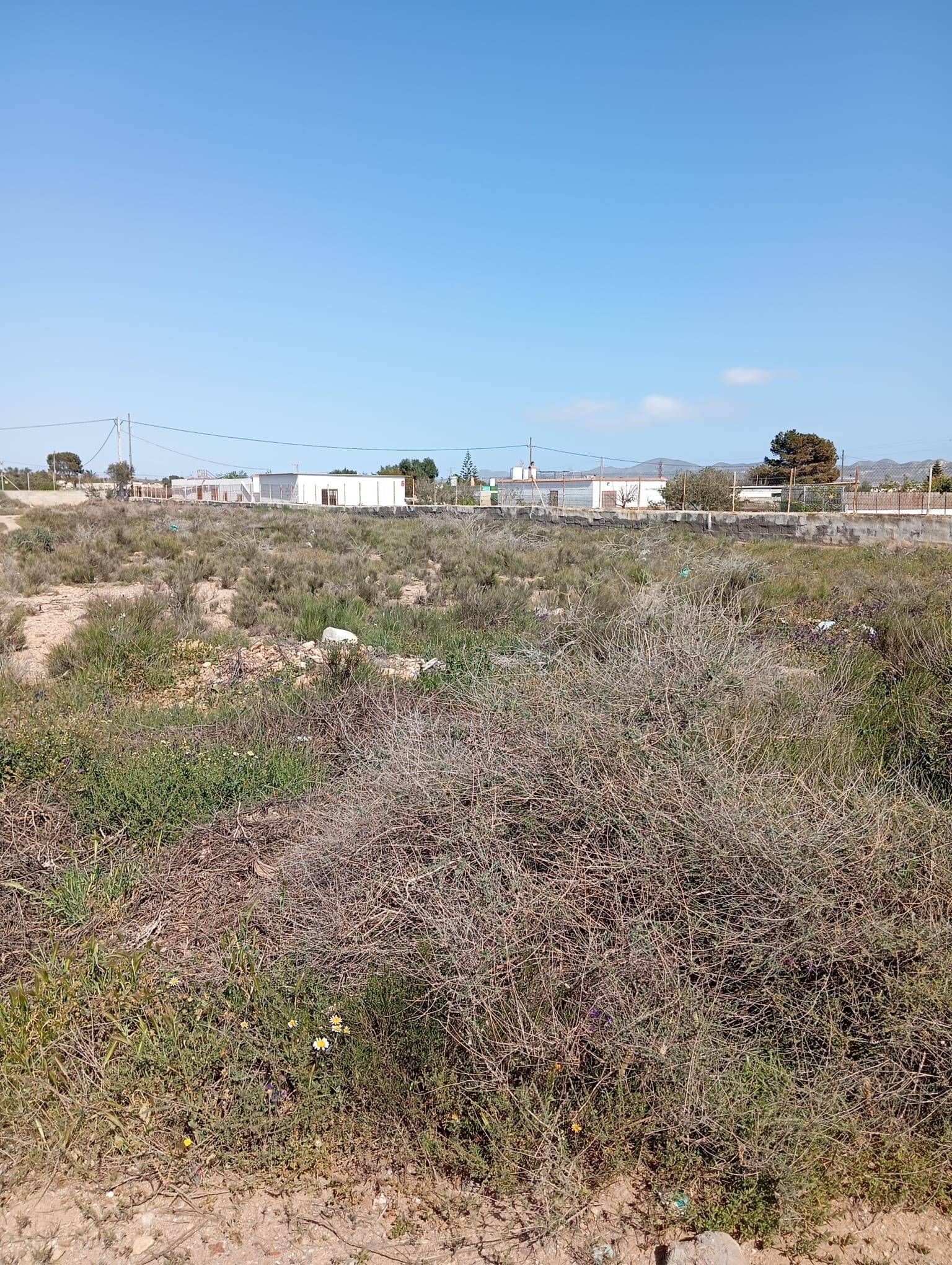 Fincas y solares-Venta-AlmerÃ­a-1744123-Foto-10