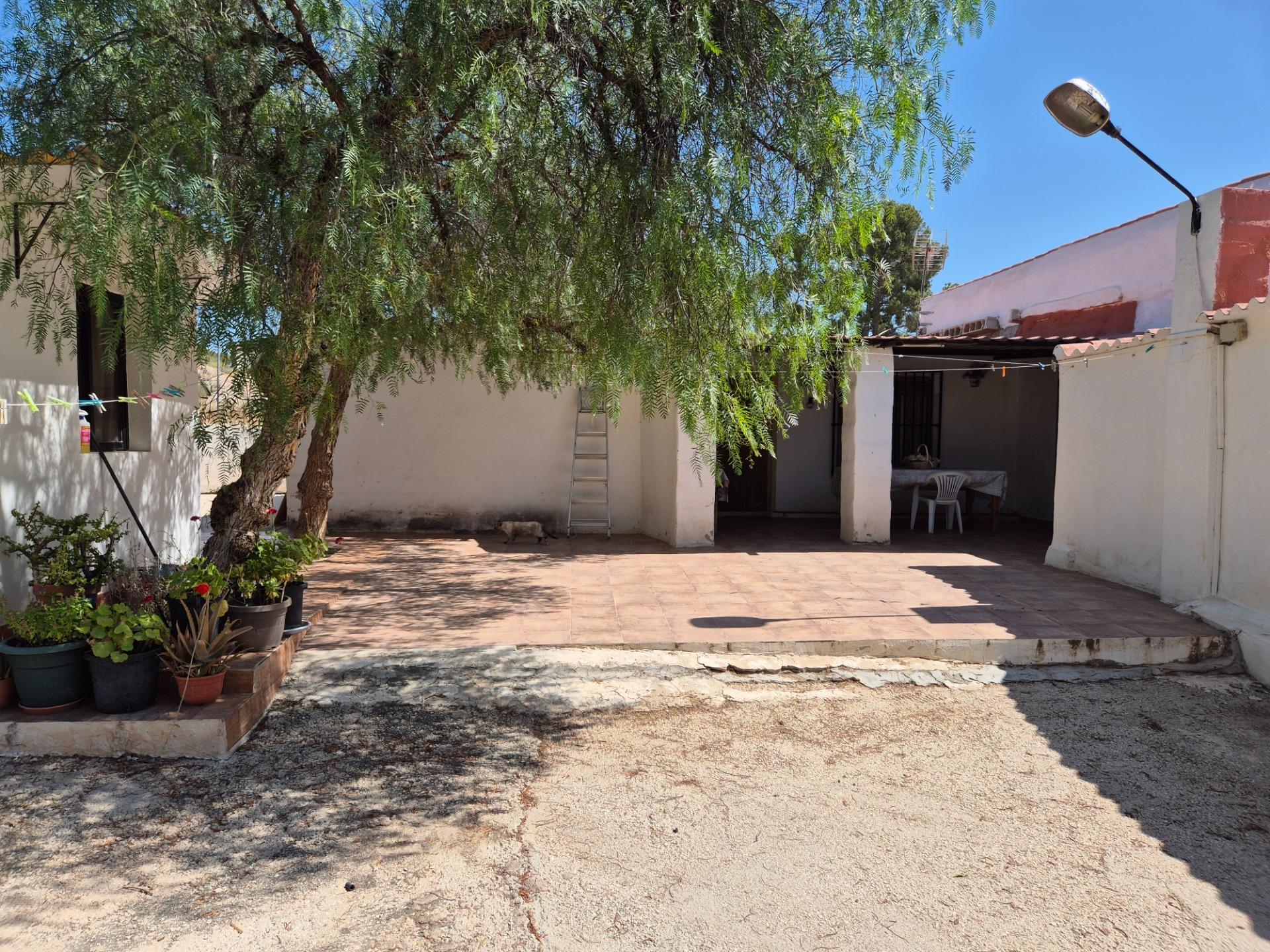 Pisos-Venta-Aspe-1506621-Foto-7