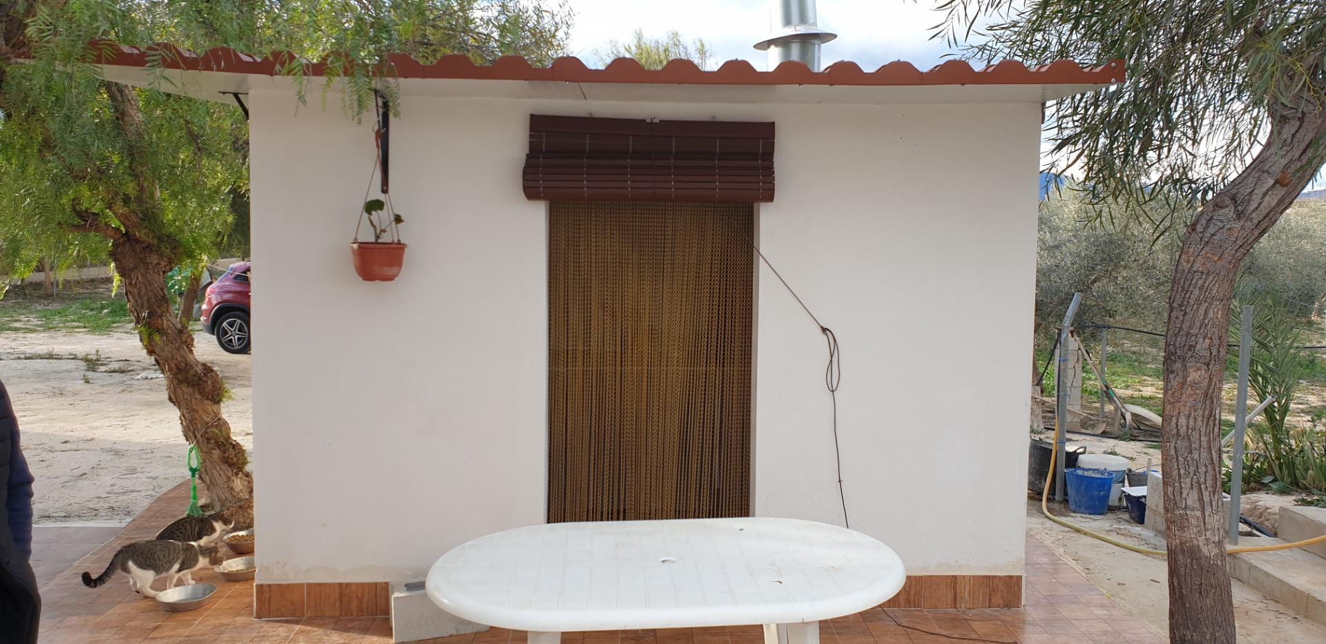 Pisos-Venta-Aspe-1506621-Foto-22