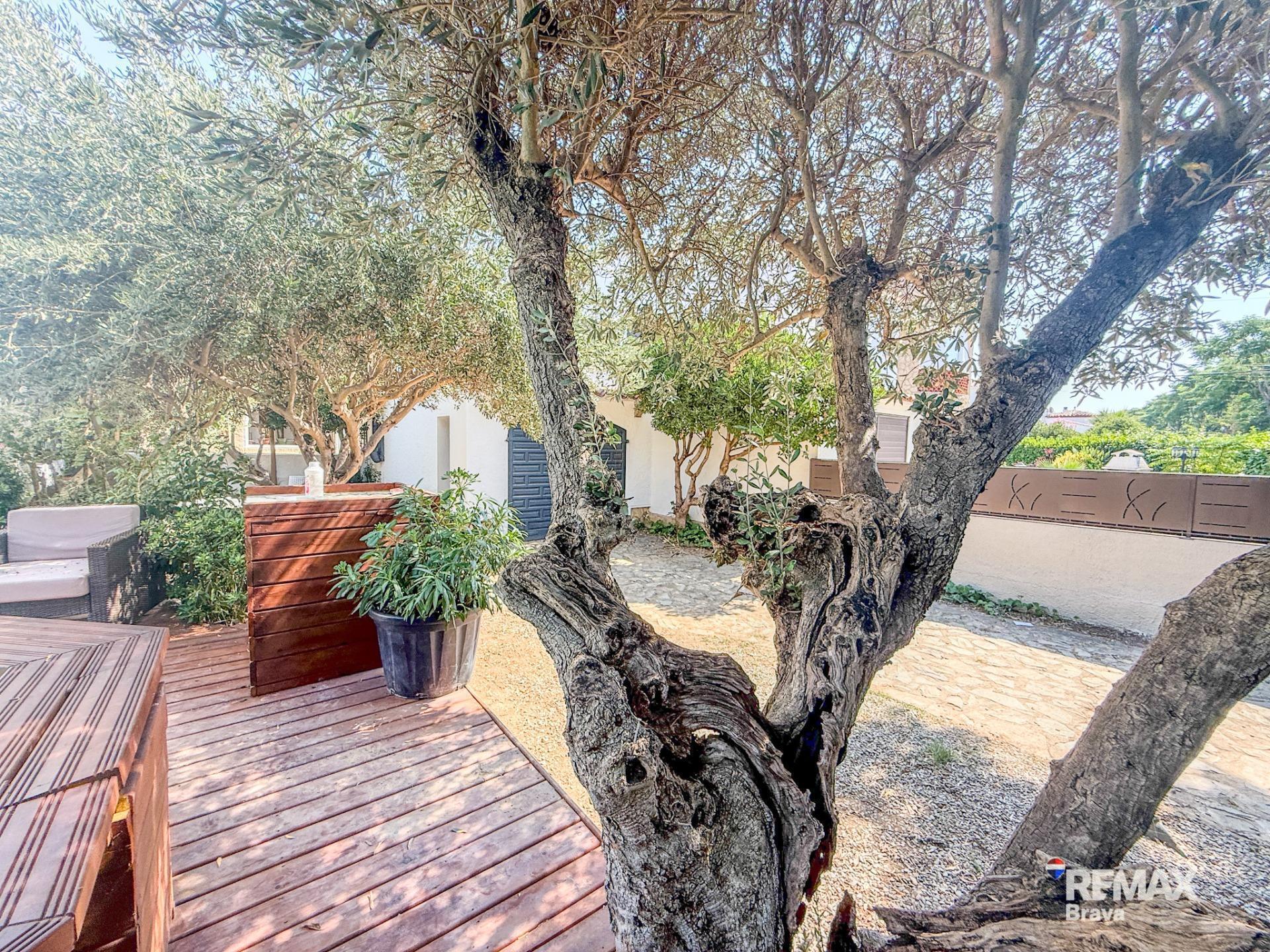 Casas o chalets-Venta-CastellÃ³ d