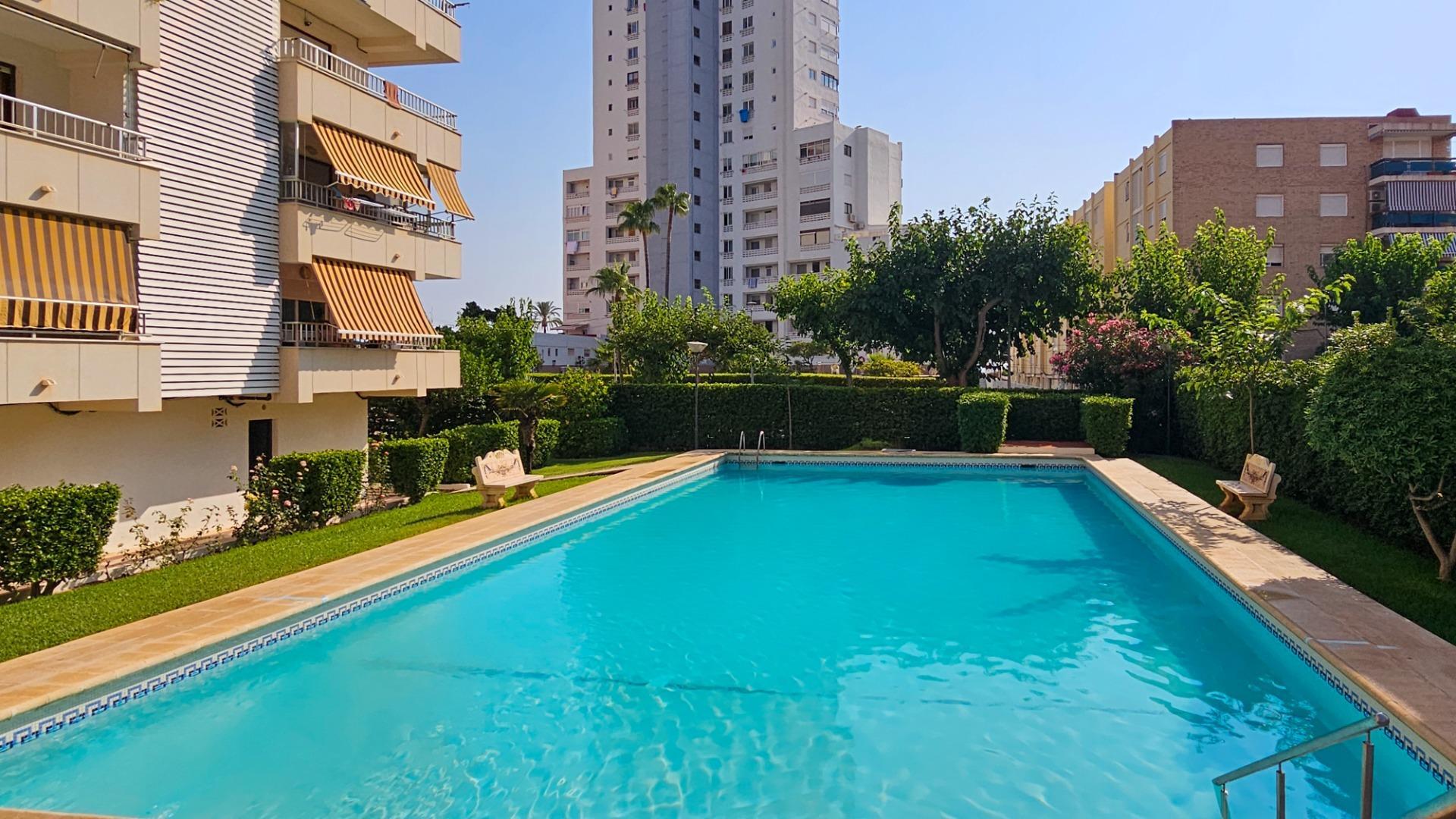 Pisos-Venta-Gandia-2416094-Foto-9