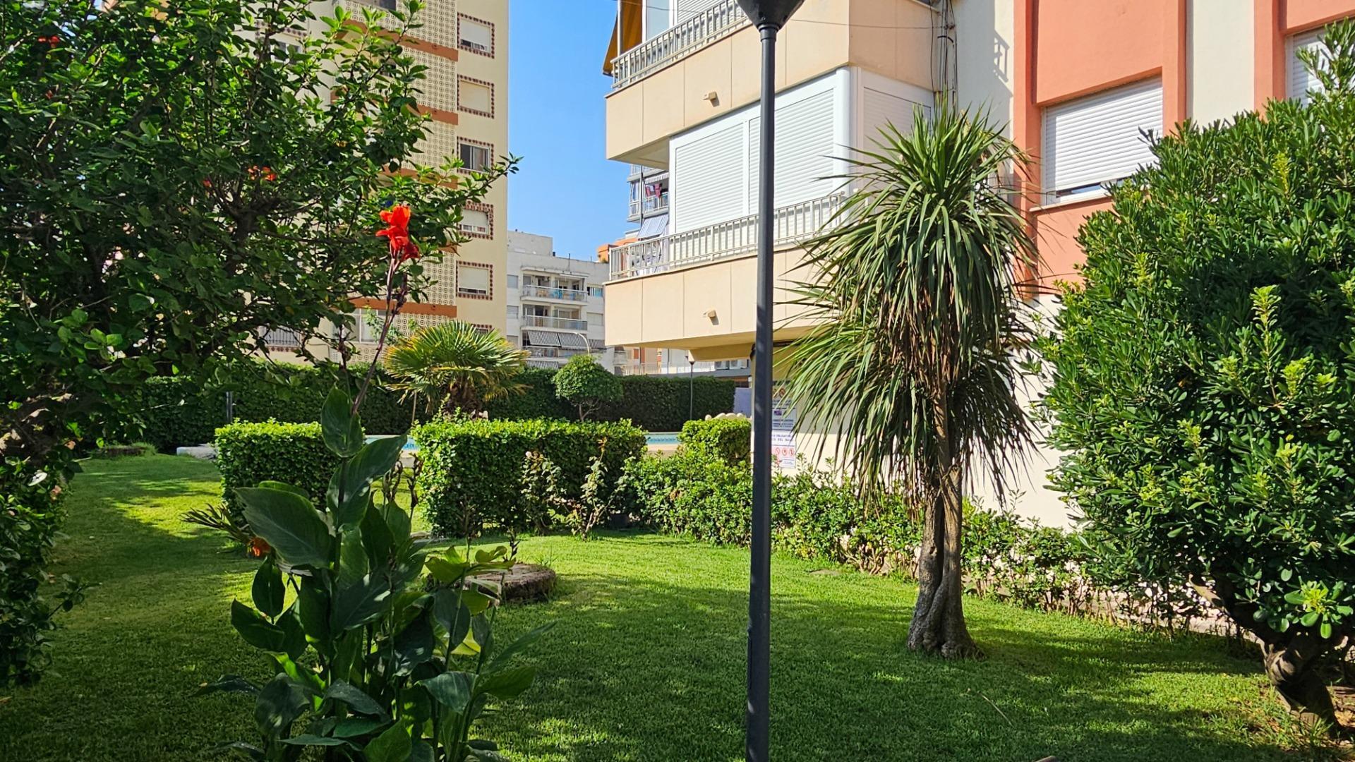 Pisos-Venta-Gandia-2416094-Foto-6