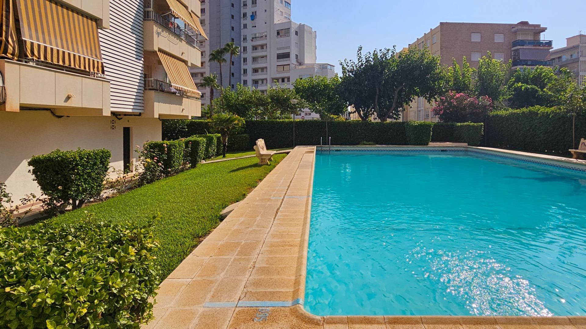 Pisos-Venta-Gandia-2416094-Foto-11