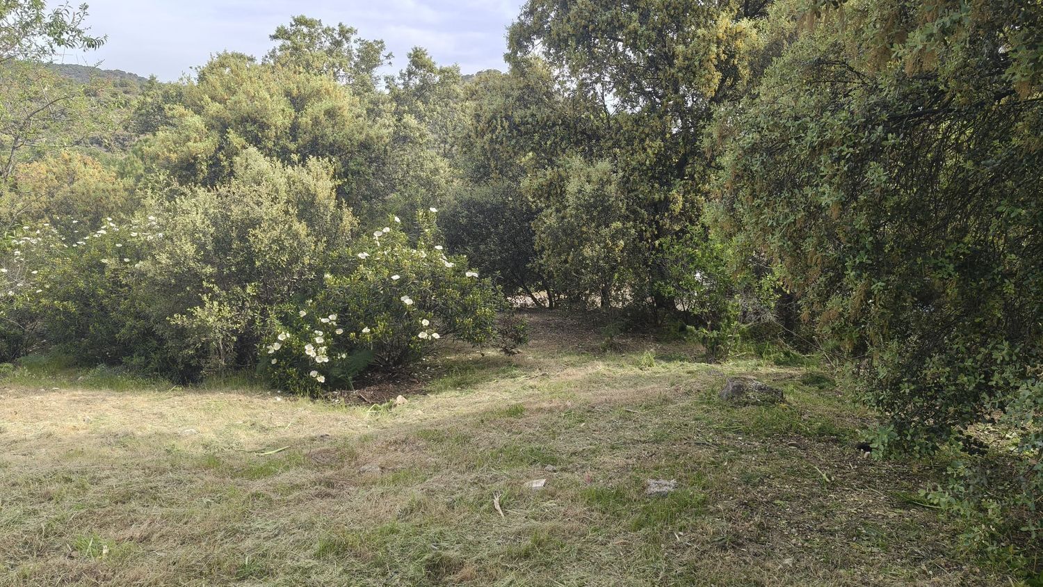 Fincas y solares-Venta-Valdemorillo-2247995-Foto-9