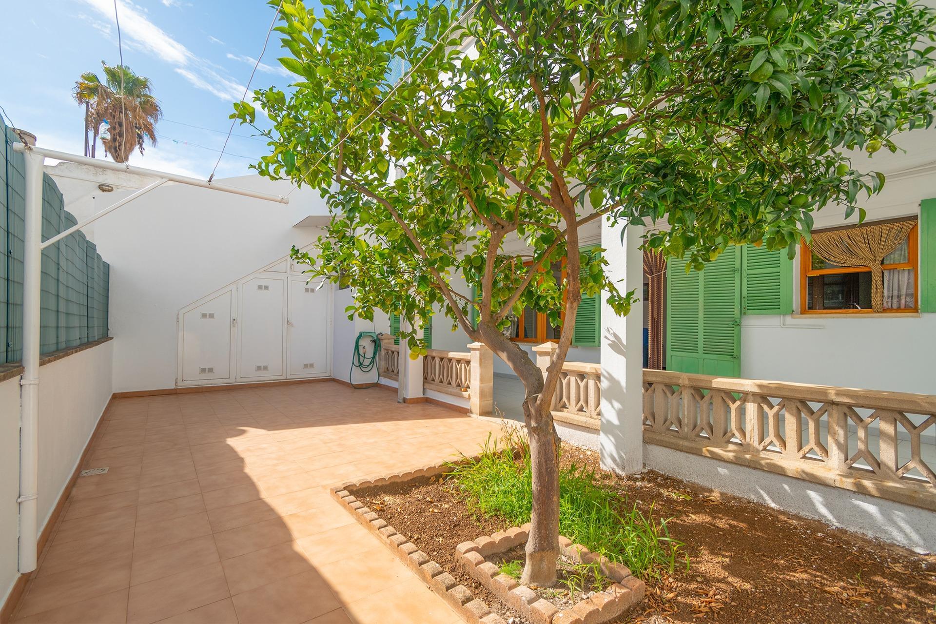 Pisos-Venta-Palma de Mallorca-2420813-Foto-26