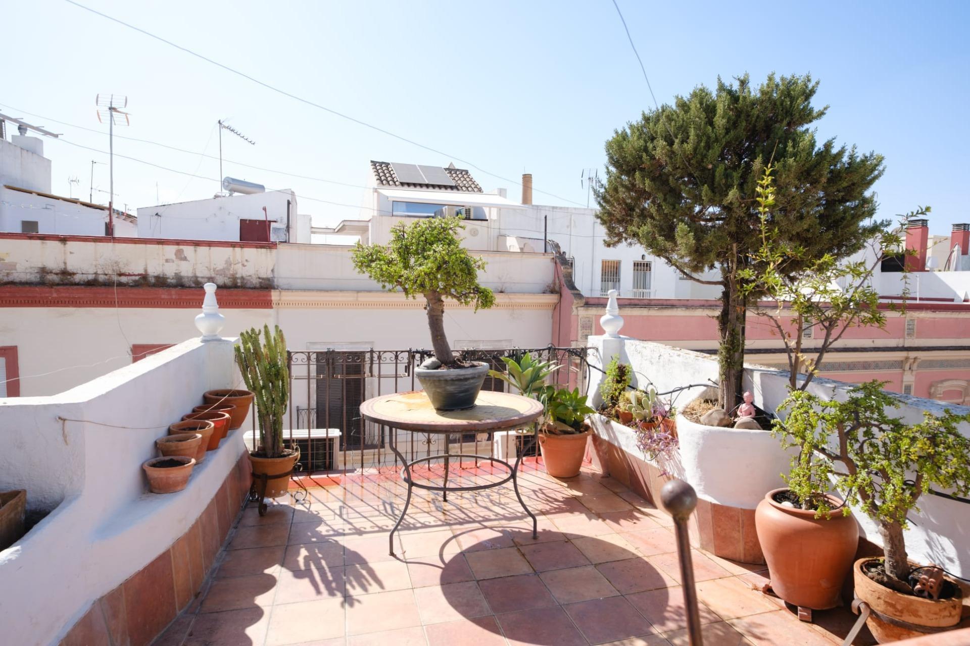 Casas o chalets-Venta-Burguillos-2417377-Foto-46