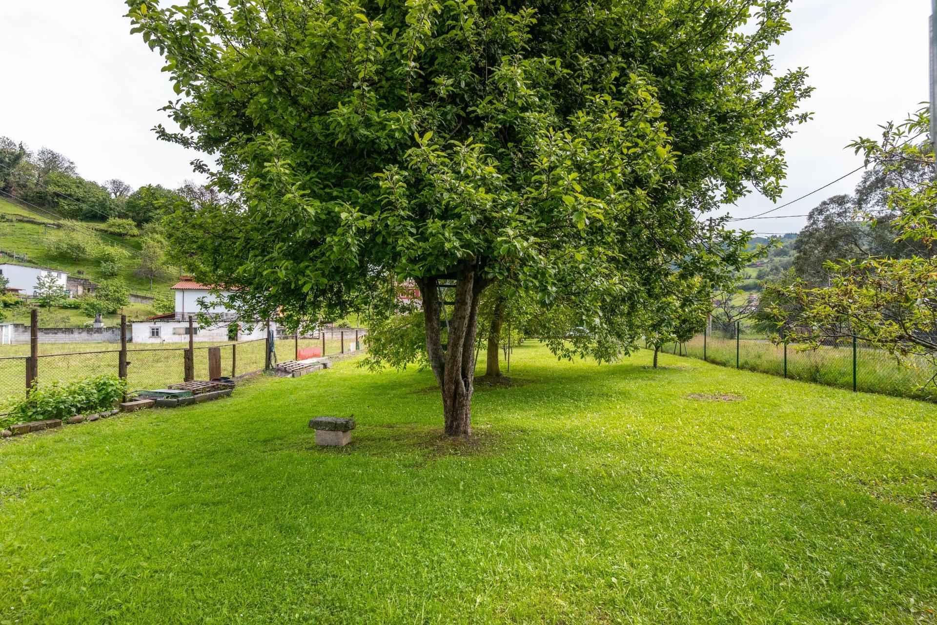 Casas o chalets-Venta-San MartÃ­n del Rey Aurelio-2411570-Foto-14