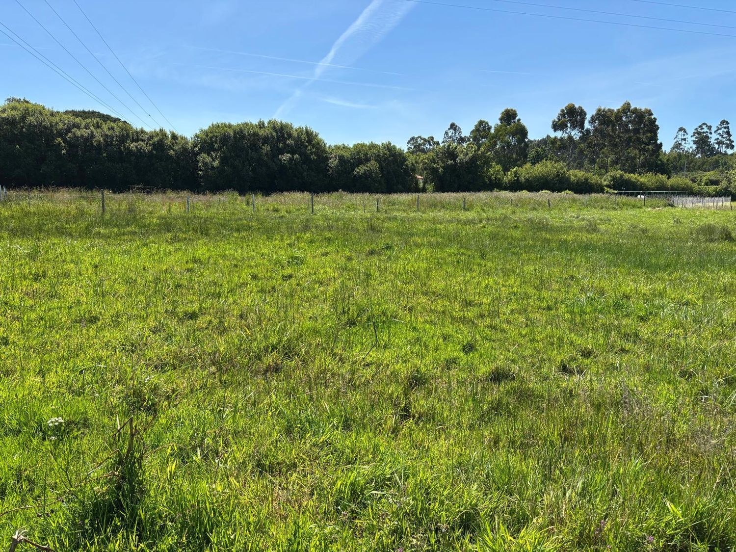 Terreno en venta en Mugardos 7/17