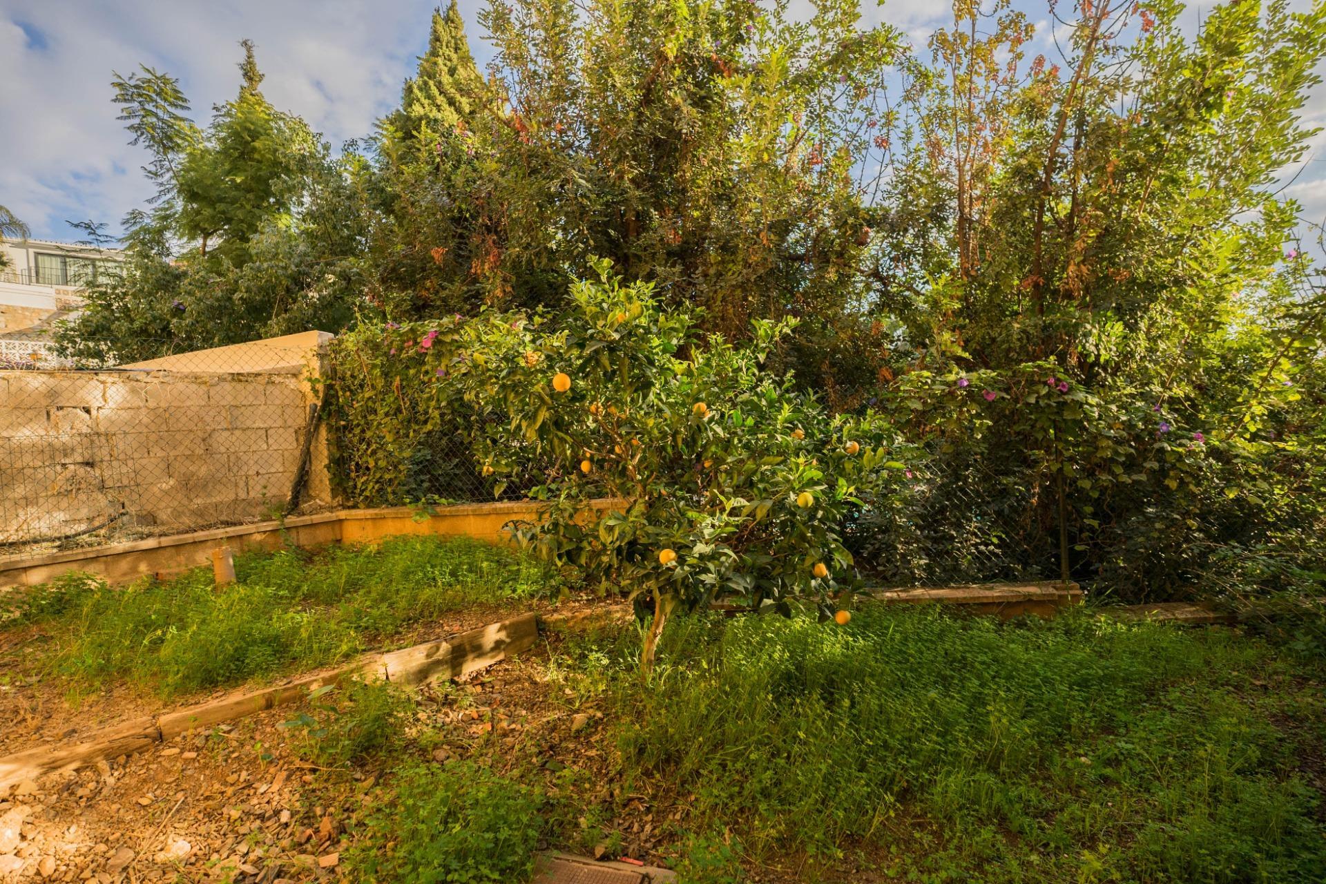 Casas o chalets-Venta-Fuengirola-2091854-Foto-45
