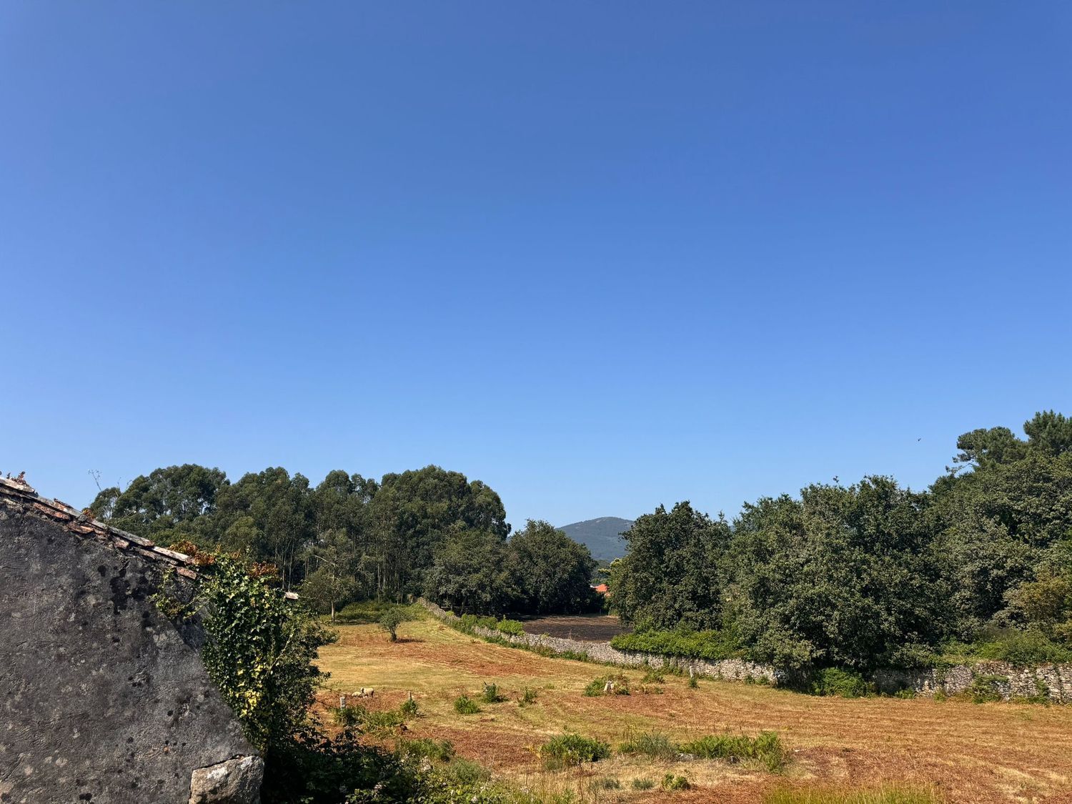 Casa en venta  Vilagarcía de Arousa  6/23