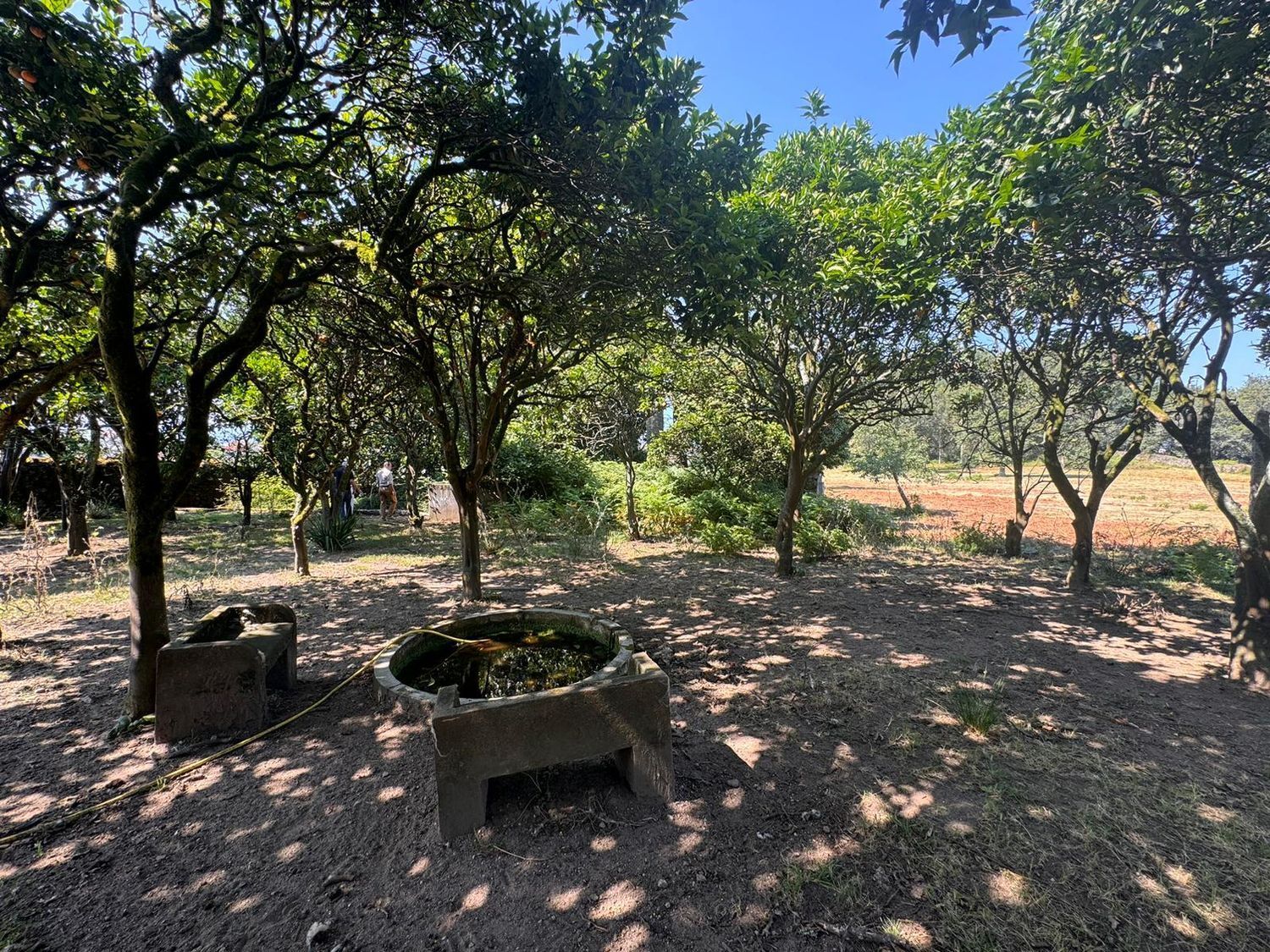 Casa en venta  Vilagarcía de Arousa  17/23