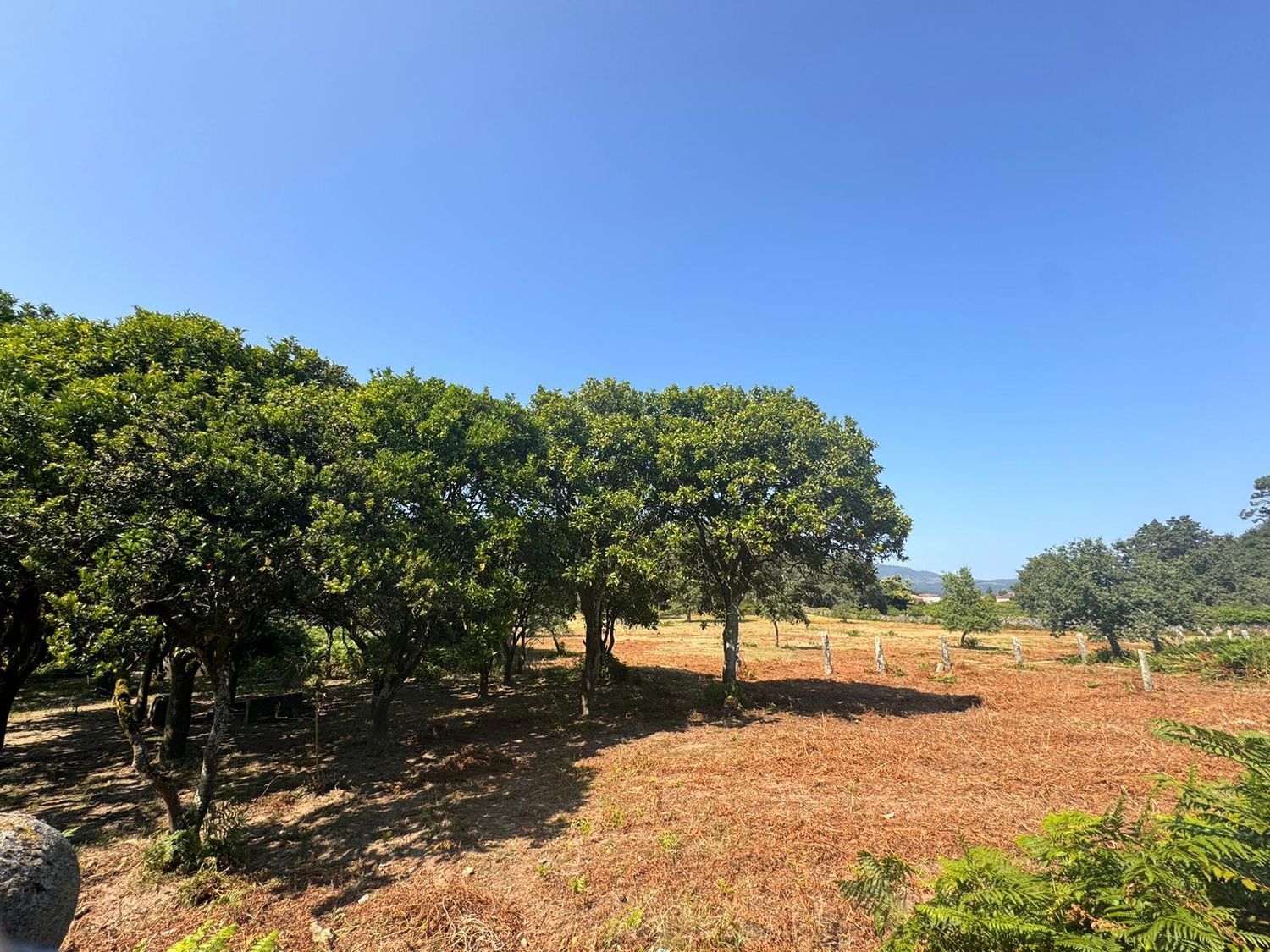 Casa en venta  Vilagarcía de Arousa  20/23