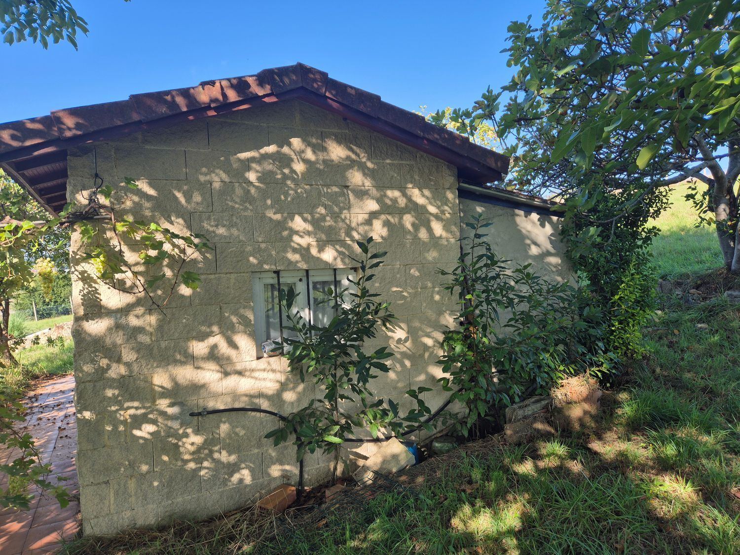 Fincas y solares-Venta-GijÃ³n-2417386-Foto-7
