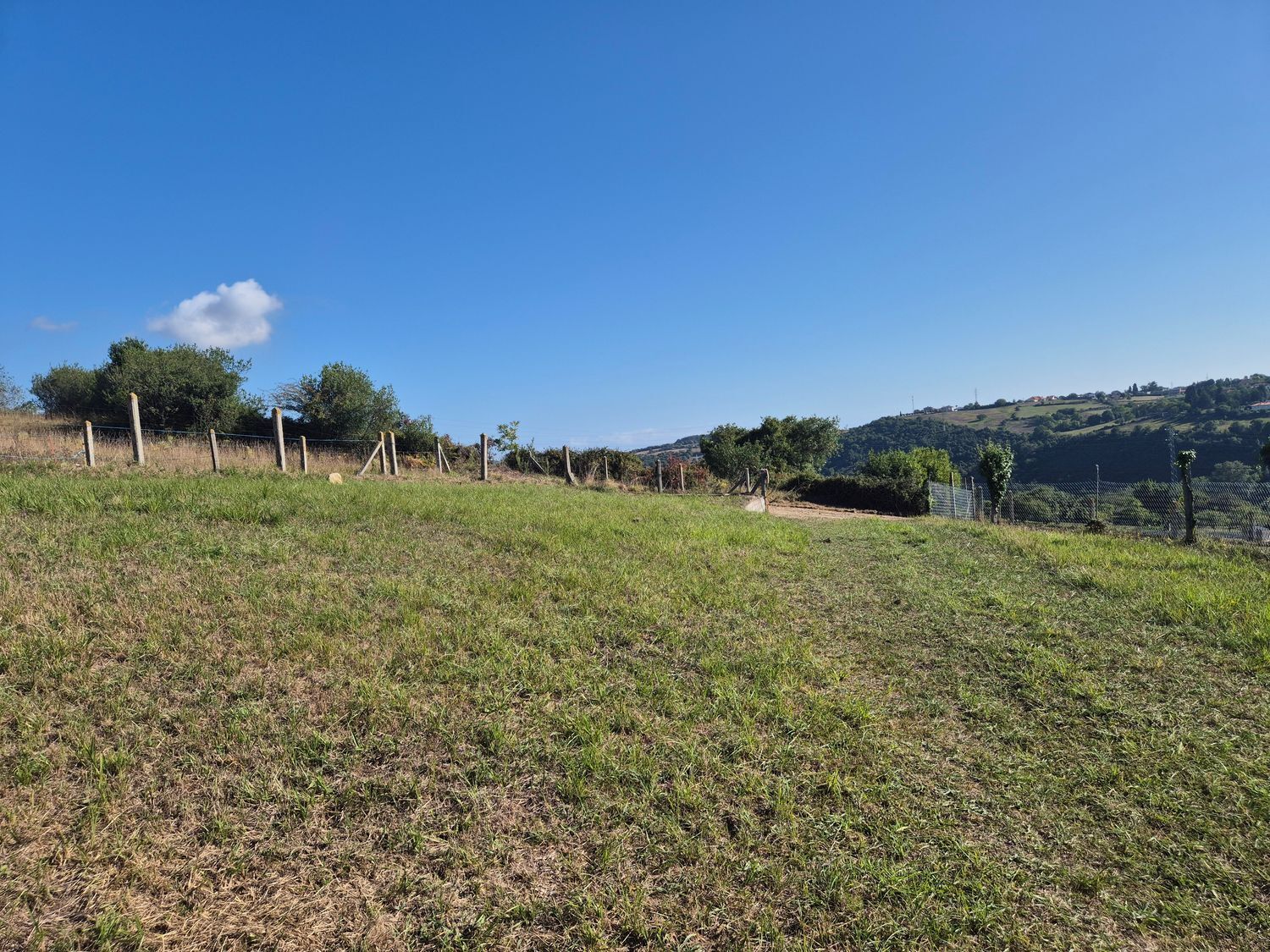 Fincas y solares-Venta-GijÃ³n-2417386-Foto-9