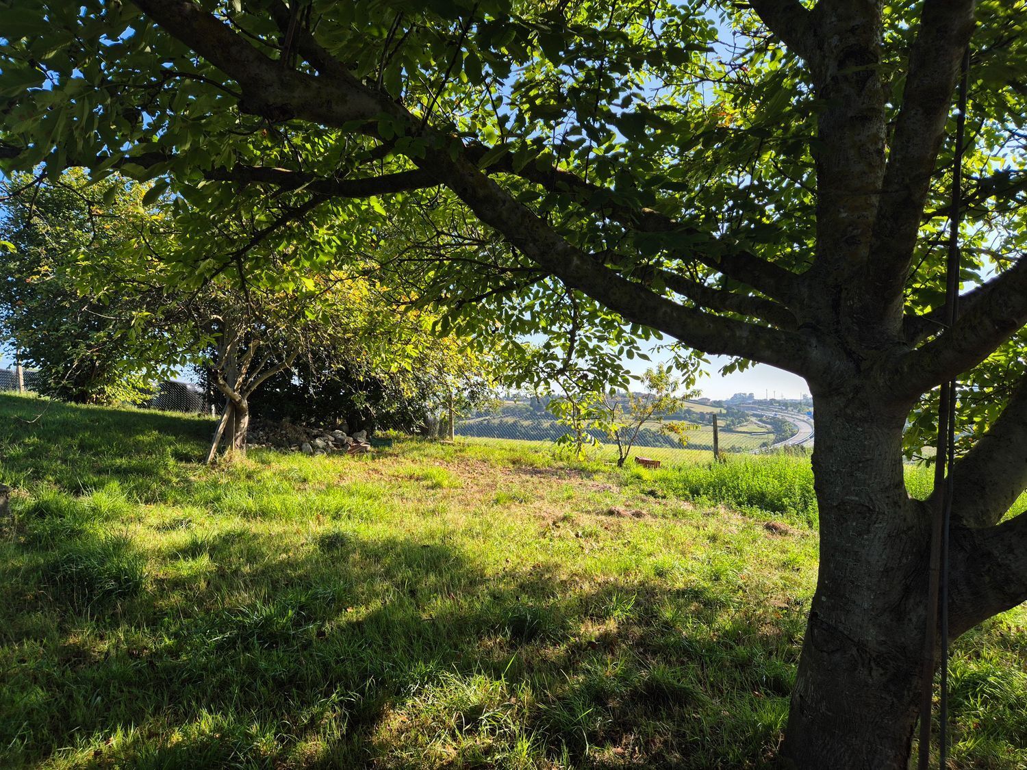 Fincas y solares-Venta-GijÃ³n-2417386-Foto-14