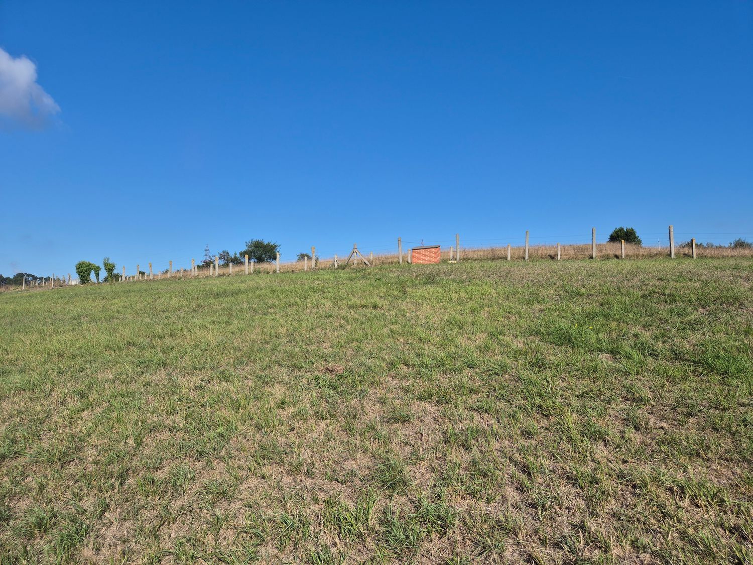 Fincas y solares-Venta-GijÃ³n-2417386-Foto-19