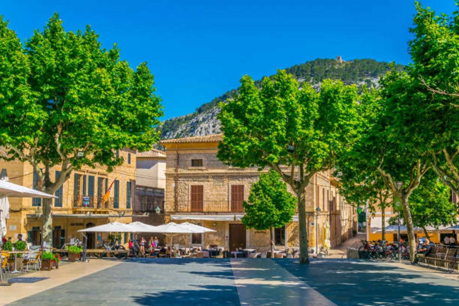 Pisos-Venta-PollenÃ§a-2059814-Foto-35