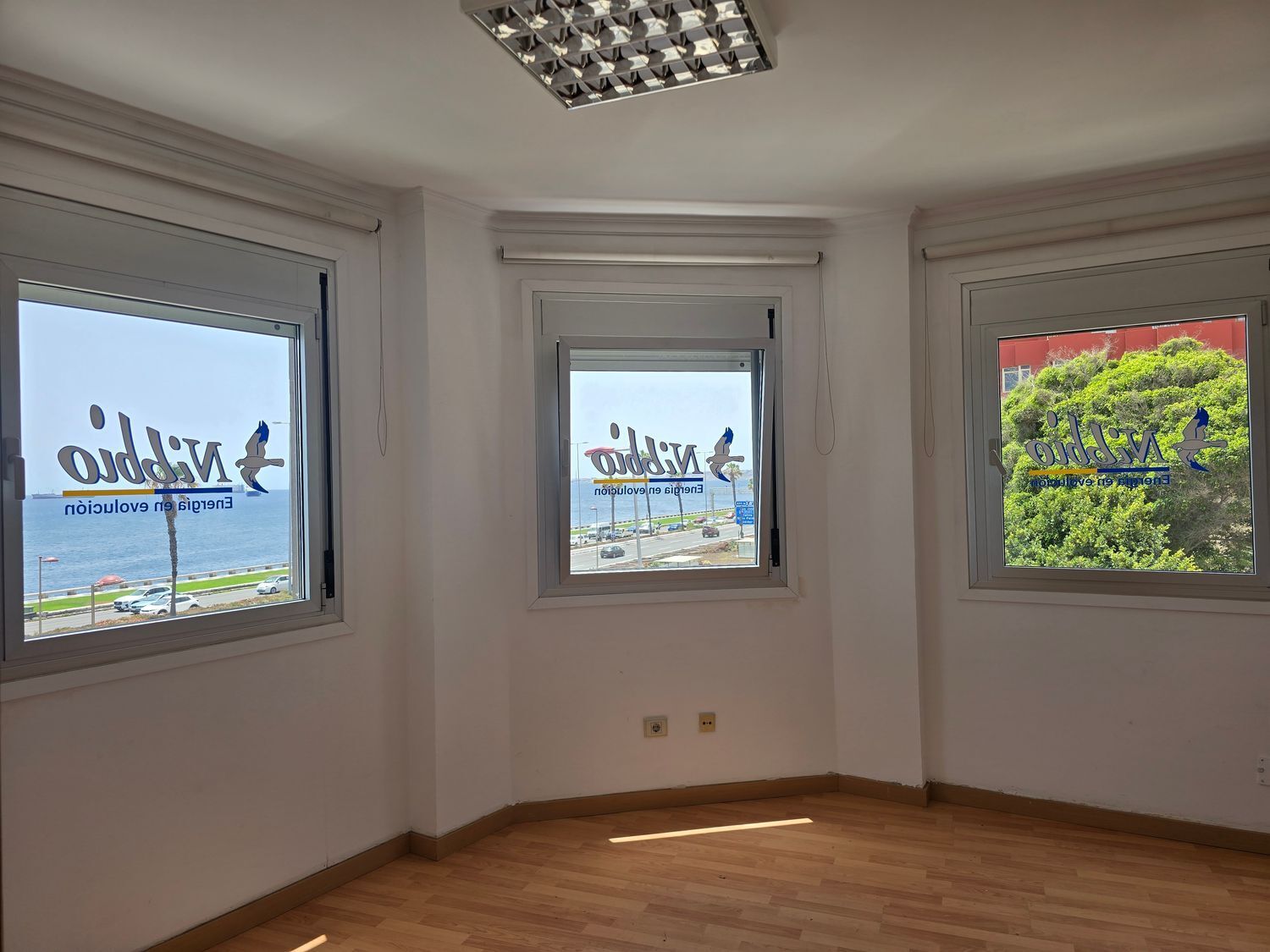 Oficinas-Alquiler-Las Palmas de Gran Canaria-2413976-Foto-6