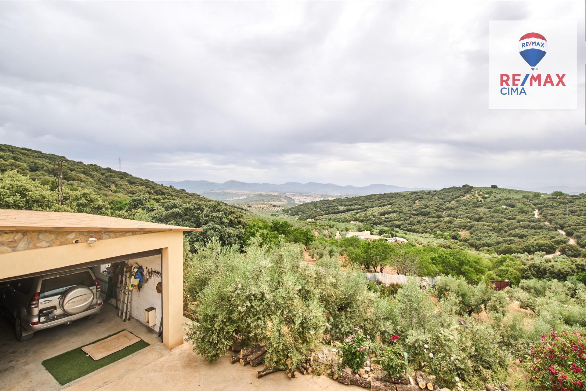 Casas o chalets-Venta-AlcalÃ¡ la Real-2064089-Foto-44