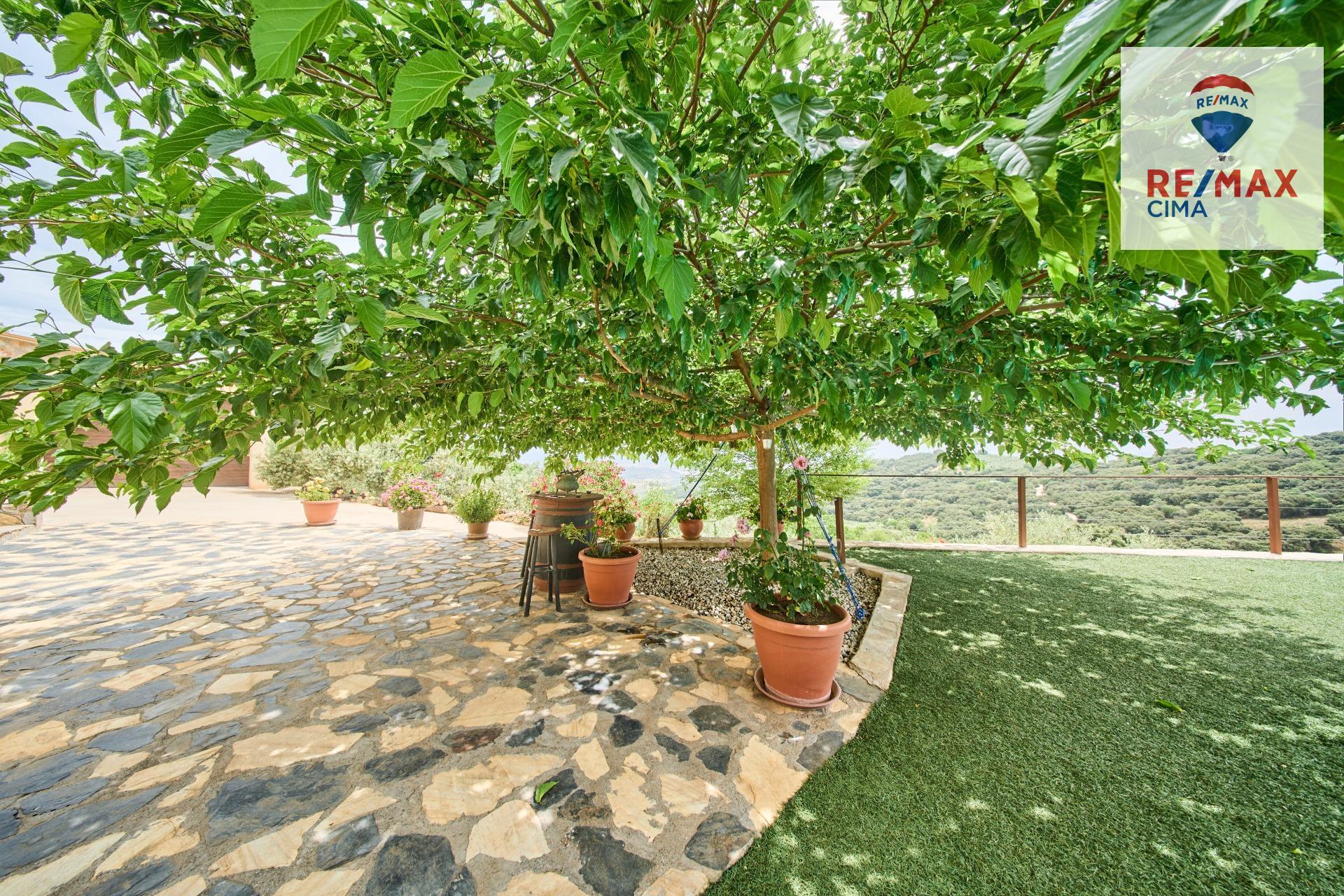 Casas o chalets-Venta-AlcalÃ¡ la Real-2064089-Foto-47