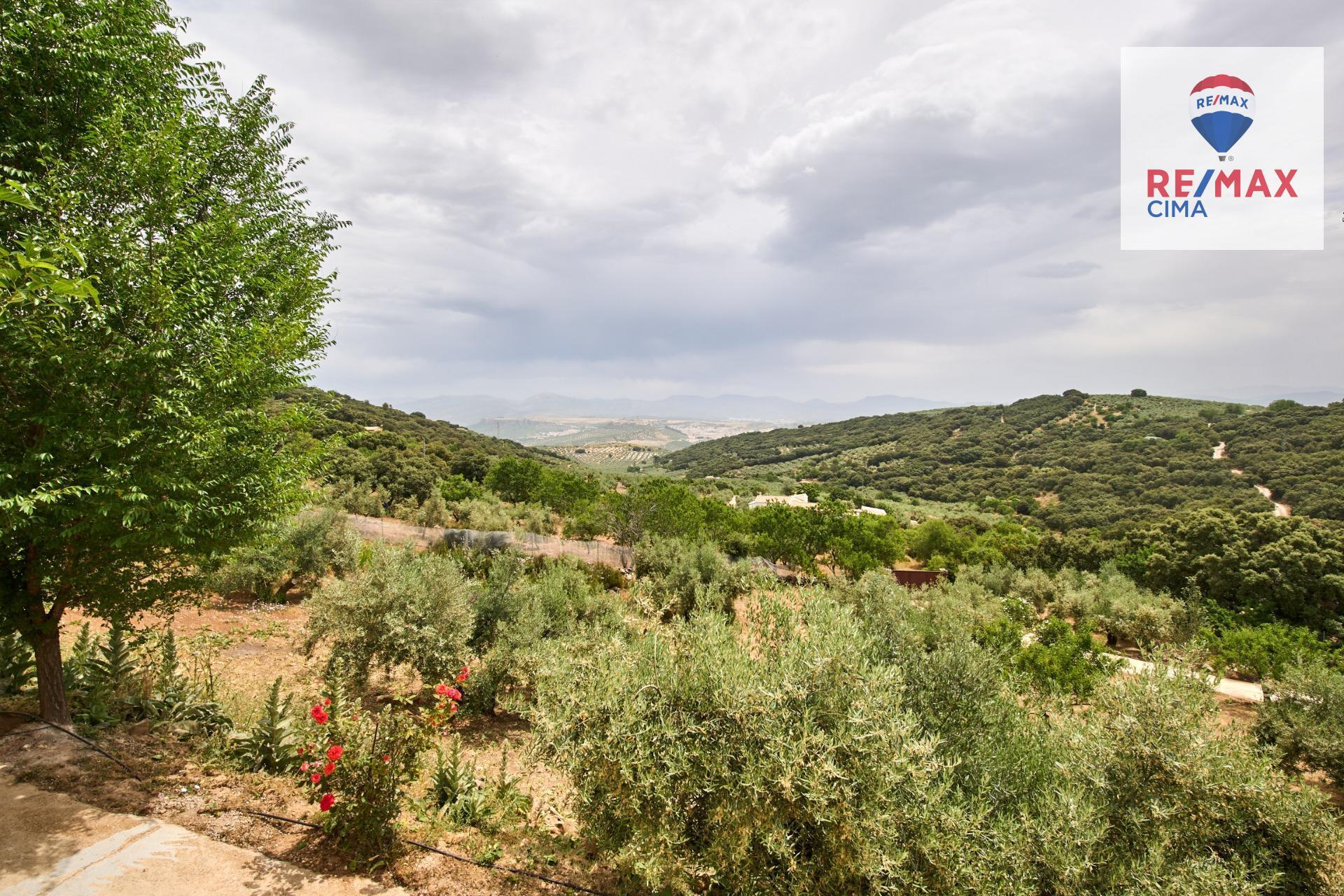 Casas o chalets-Venta-AlcalÃ¡ la Real-2064089-Foto-57