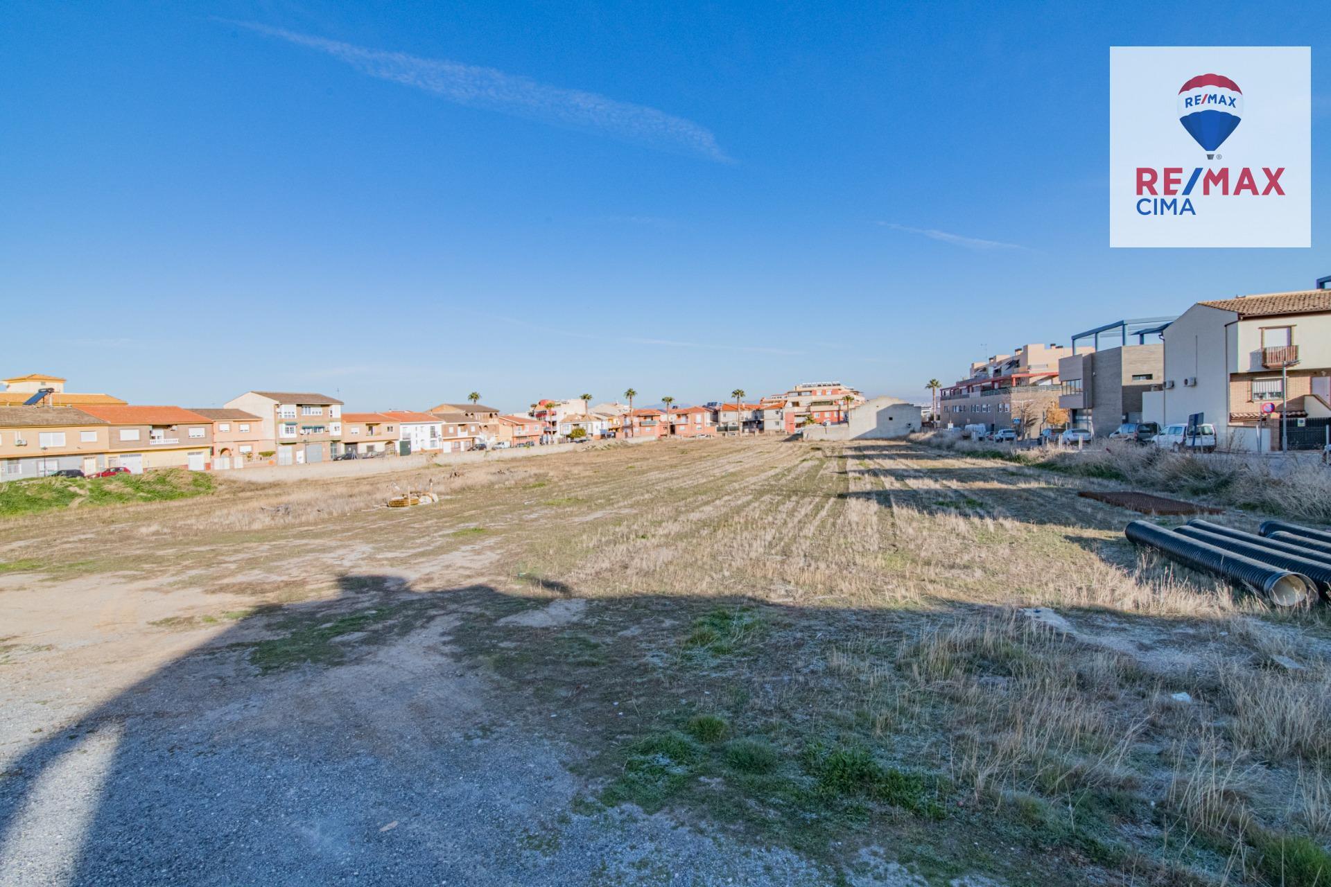 Fincas y solares-Venta-Churriana de la Vega-1536519-Foto-6