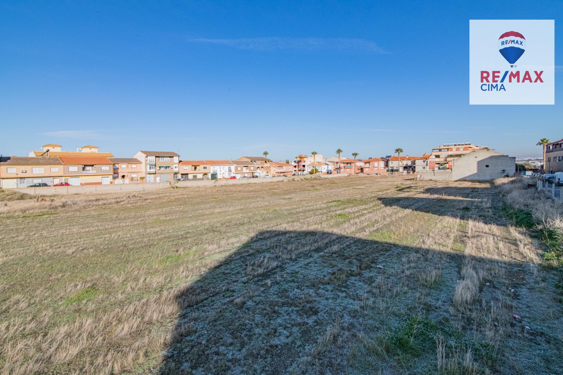 Fincas y solares-Venta-Churriana de la Vega-1536519-Foto-9