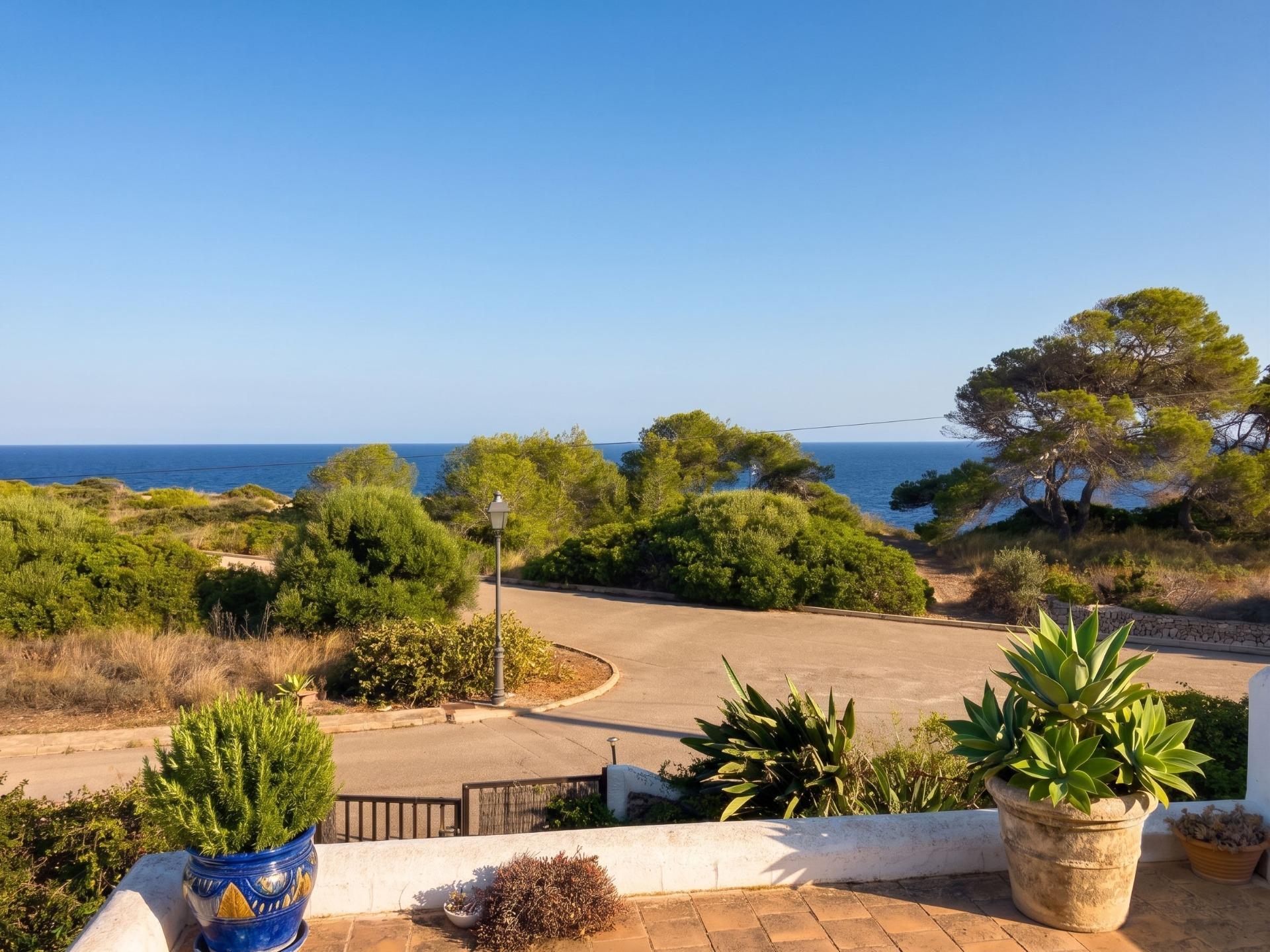 Casas o chalets-Venta-SantanyÃ­-1763873-Foto-3