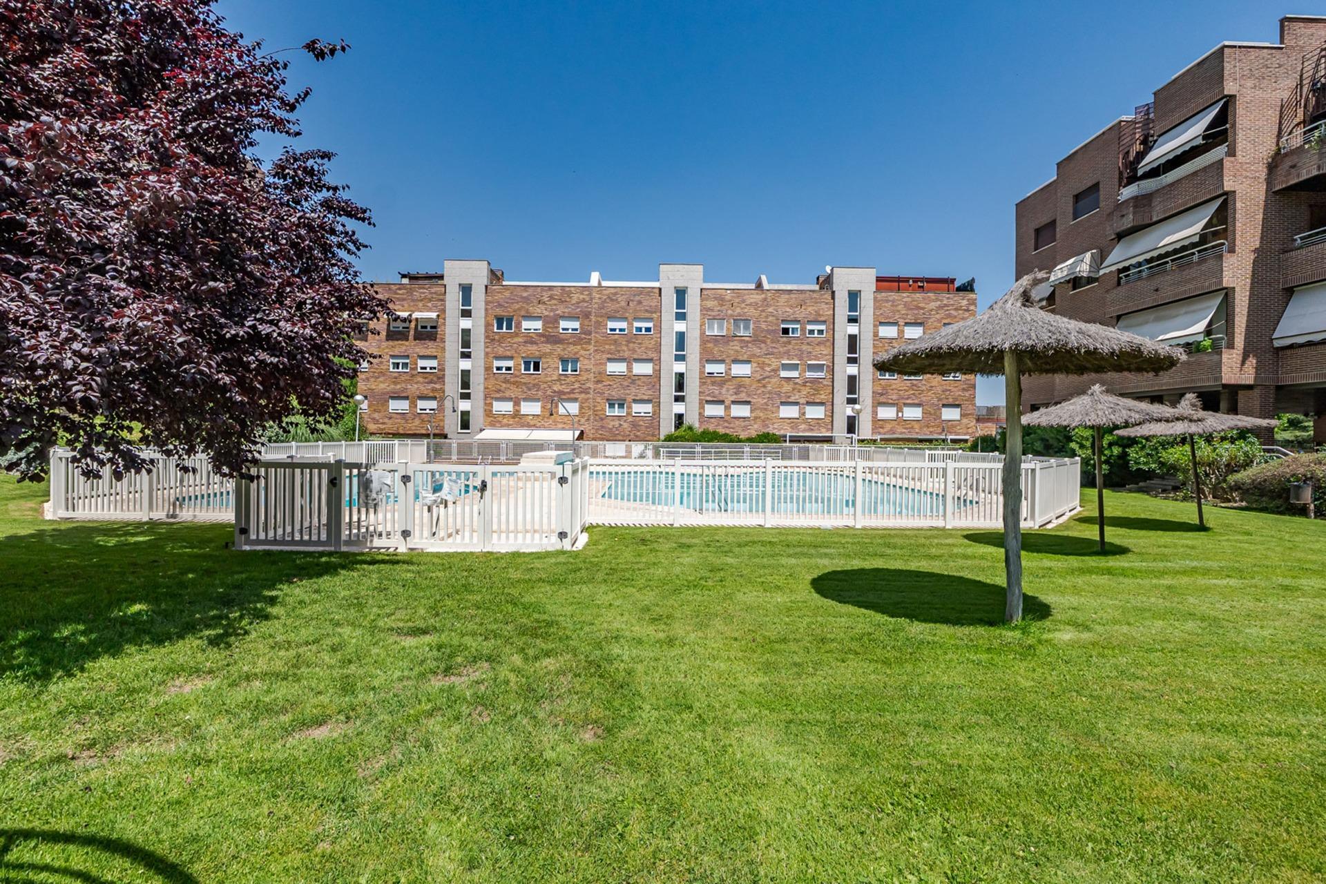 Pisos-Venta-Pozuelo de AlarcÃ³n-2411762-Foto-53