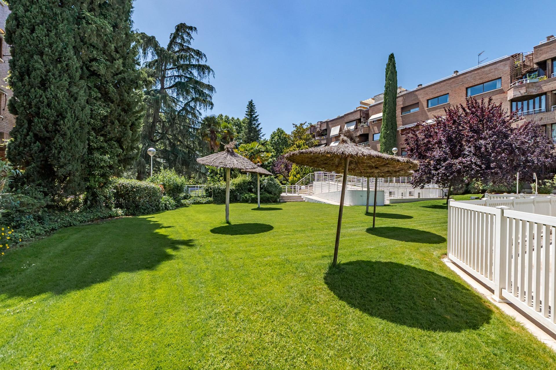 Pisos-Venta-Pozuelo de AlarcÃ³n-2411762-Foto-55